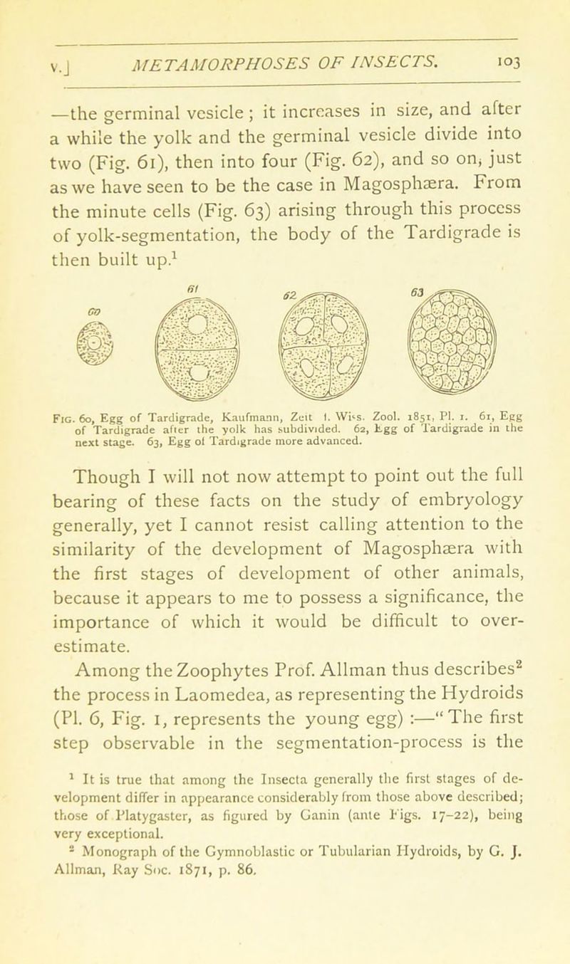 —the germinal vesicle; it increases in size, and after a while the yolk and the germinal vesicle divide into two (Fig. 61), then into four (Fig. 62), and so on; just as we have seen to be the case in Magosphsera. From the minute cells (Fig. 63) arising through this process of yolk-segmentation, the body of the Tardigrade is then built up.1 Fig. 60, Egg of Tardigrade, Kaufmann, Zcit 1. WEs. Zool. 1851, PI. 1. 61, Egg of Tardigrade after the yolk has subdivided. 62, Egg of Tardigrade in the next stage. 63, Egg of Tardigrade more advanced. Though I will not now attempt to point out the full bearing of these facts on the study of embryology generally, yet I cannot resist calling attention to the similarity of the development of Magosphsera with the first stages of development of other animals, because it appears to me to possess a significance, the importance of which it would be difficult to over- estimate. Among the Zoophytes Prof. Allman thus describes2 the process in Laomedea, as representing the Hydroids (PI. 6, Fig. 1, represents the young egg) :—“The first step observable in the segmentation-process is the 1 It is true that among the Insecta generally the first stages of de- velopment differ in appearance considerably from those above described; those of Platygaster, as figured by Ganin (ante Figs. 17-22), being very exceptional. - Monograph of the Gymnoblastic or Tubularian Ilydroids, by G. J. Allman, Ray Soc. 1871, p. 86.
