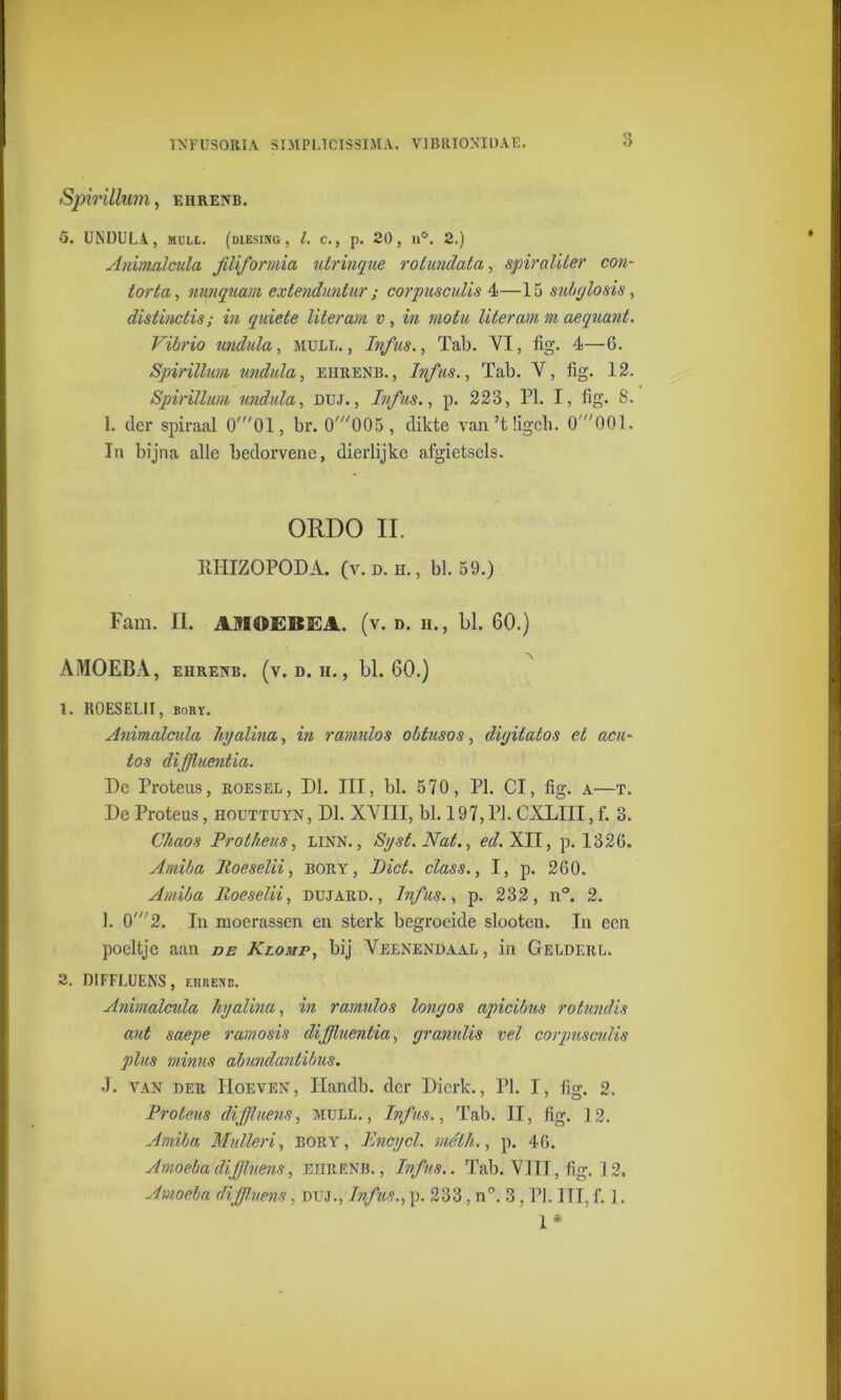 INFUSORIA 5IMPL1CIS3IMA. VJBRIONIDAE. O Spirillum, eiirenb. 5. UNDUL.4., mull. (diesing, l. c., p. 20, ii°. 2.) Animalcula jiliformia utrinque rotundata, spiraliter con- iorta, nunquam extenduntur ; corpuscuUs 4—15 subylosis, distinctis; in quiete liter am v , in motu liter cm m ae quant. Vibrio undida, mull., Infus., Tab. VI, fig. 4—6. Spirillum undida, eiiuenb., Infus., Tab. V, fig. 12. Spirillum undida, duj., Infus., p. 223, PI. I, fig. 8. 1. der spiraal 0'01, br. 0'005 , dikte van’tiigch. 0 001. In bijna alle bedorvene, dierlijke afgietsels. ORDO II. RHIZOPODA. (v. d. h. , bl. 59.) Fam. II. AJIOEBEA. (v. d. h., bl. 60.) AMOEBA, ehrenb. (v. d. H., bl. 60.) 1. ROES ELI I, BnRY. Animalcula hyalina, in ramidos obtusos, d'ujitatos el acu- tos diffluentia. De Proteus, roesel, Dl. III, bl. 570, PI. Cl, fig. a—t. De Proteus, houttuyn, Dl. XVIII, bl. 197, PI. CXLIII, f. 3. Chaos Protheus, linn. , Syst.Nat., ed. XII, p. 1326. Amiba lloeselii, bory , Liet. class., I, p. 260. Amiba Roeselii, dujard. , Infus., p. 232, n°. 2. I. 0'2. In moerassen en sterk begroeide slooten. In een poeltje aan de Klomp, bij Veenendaal , in Gelderl. 2. niFFLUENS, eurejjc. Animalcula hyalina, in ramidos lonyos apicibus rotundis aut saepe ram o sis diffluentia, yranidis vel corpuscuUs plus minus abundantibus. J. van der Hoeven, Handb. der Dierk., PI. I, fig. 2. Proteus difjluens, mull., Infus., Tab. II, fig. ] 2. Amiba Mulleri, bory, Encycl. méth., p. 46. Amoeba diffluens, eiirenb. , Infus.. Tab. VIII, fig. 12. Amoeba diffluens, duj., Infus., p. 233, n°. 3, PI. ITT, f. 1. 1*