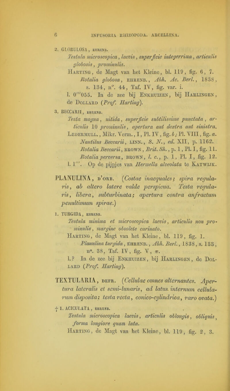 2. GLOBULOSA, ehrenb. Teslula microscopica, laevis, superficie integerrima, ar Heul is globosis, prominulis. Harting, de Magt van het Kleine, bl. 119, fig. 6, 7. Rotalia globosa, ehrenb. , Abh. Ac. Berl., 183S, s. 134, n°. 44, Taf. IV, fig. var. i. 1. 0'055. In de zee bij Enkhuizen, bij Haelingex , de Dollard {Prof. Harting'). 3. BECCARII, EHRENB. Testa niagna, nitida, superficie subtilissime punctata , ar- ticulis 10 prominulis, apertura aut dexlra aut sinistra. Ledermull. , Mikr. Verm., I, PI. IV, fig. b; PI. VIII, fig. a. Nautilus Beccarii, linn. , S. N., ed. XII, p. 1162. Rotalia Beccarii, brown , Brit. Slt., p. 1, PI. I, fig. 11. Rotalia per ver sa, brown, l. c., p. 1, PI. I, fig. 12. 1. T. Op de pijpjes van Hermella alveolata te Katwijk. PLANULINA, d’ orb. (Costae inaequales; spira regula- ris, ab altero latere volde perspicua. Testa regula- ris, libero, subturbinata; apertura contra anfractum penultimum spirae.) 1. TURGIDA, EHRENB. Testula minima et microscopica laevis, articulis non pro- minulis , margine obsolete carinato. Harting, de Magt van het Kleine, bl. 119, fig. 1. Plamlina turgida, ehrenb. , Abh. Berl., 1838, s. 133 , n». 38, Taf. IV, fig. V, jr. l.P In de zee bij Enkhuizen, bij Harlingen, de Dol- lard {Prof. Harting). TEXTULARIA, defr. [Cellulae omnes alternantes. Aper- tura lateralis et semi-lunaris, ad lotus, internum cellula- rum disposita; testa recta, conico-cylindrica, raro ovata.) 1. ACICULATA , EHRENB. Testula microscopica laevis, articidis oblongis, obliquis; forma longiore quam lata.