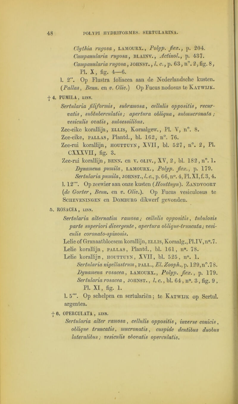 Clythia ruyosa , lamourx. , Polyp. Jlex., p. 204. Campanularia ruyosa, blainv., Actinol., p. 437. Campanularia ruyosa, johnst. , /. c., p. 63, n°. 2, fig. 8, PI. X, fig. 4—6. 1. 2”. Op Flustra loliacea aan de Nederlandsche kusten. (Pallas, Benn. en v. Oliv.) Op Fucus nodosus te Katwijk. -j- 4. PUMILA, Lixtf. Sertidaria JiUformis, subramosa, cellulis oppositis, recur- vatis, siibtuberculatis; apertura obliqua, submucronata; vesiculis ovalis, subsessilibus. Zee-eike korallijn, ellis, Koraalgew., PI. V, n°. 8. Zee-eike, pallas, Plantd., bl. 162, n°. 76. Zee-rui korallijn, iiouttüyn, XVII, bl. 527, n°. 2, PI. CXXXVH, fig. 3. Zee-rui korallijn, benn. en v. oliv., XV, 2, bl. 182, n°. 1. Dynamena pumila, lamourx., Polyp. jlex., p. 179. Sertulariapumila, johnst., I. c., p. 66, n°. 4, PI. XI,f. 3,4. 1.12”'. Op zeewier aan onze kusten (Houttuyn). Zand voort [de Gorter, Benn. en v. Oliv.). Op Fucus vesiculosus te Scheveningen en Domburg dikwerf gevonden. 5. ROSACEA , link. Sertidaria alternatim ramosa; cellulis oppositis, tubulosis parte superiori diveryente, apertura óblique-truncata; vesi- culis corovato-spinosis. Lelie of Granaatbloesem korallijn, ellis, Koraalg.,Pl.IV, n°.7. Lelie korallijn, pallas, Plantd., bl. 161, n°. 78. Lelie korallijn, houttuyn, XVII, bl. 525 , n°. 1. Sertidaria niyellastrum, pall., El. Zooph., p. 129,n°.7 8. Dynamena rosacea, lamourx., Polyp. Jlex., p. 179. Sertidaria rosacea, johnst. , l. c., bl. 64, n°. 3, fig. 9 , PI. XI, fig. 1. 1.5'. Op schelpen en sertulariën; te Katwijk op Sertul. argentea. + 0. OPERCULATA , linn. Sertularia alter ramosa, cellulis oppositis, inverse conicis, oblique truncatis, mucronatis, cuspide dentibns duobns lateralibiis; vesiculis ohovatis operculatis.