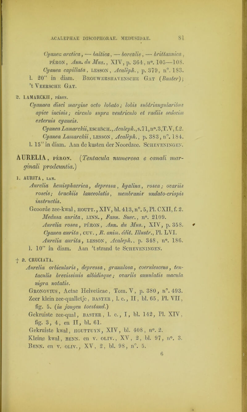 Cyanea arctica, — baltica, — borealis, — brittannica. péron , Am. du Mus., XIV, p. 364, n°. 103—108. Cyanea capillata, lesson, Acdtèph., p. 379, n°. 183. 1. 20” in diam. Brouwers ha v ensciie Gat (Baster)-, ’t Veerschk Gat. 2. LAMARCKII, pérox. Cyanaea disci margine octo lobato; lobis subtriangidaribvs apice iucisis; circulo supra ventriculo et radiis sedecm externis cyaneis. (Jganea Lamarcldi, esch'sch. , Acalepb., s. 71, n°. 3 ,T. V, f.2. Cyanea Lamarcldi, lesson , Acalèph., p. 383, n°. 184. 1. 15 in diam. Aan de kusten der Noordzee. Scheveningen. AURELIA, péron. (Tentacula numerosa e canali mar- ginali prodeuntia.) 1. AURITA, lam. Aurelia hemispJtaerica, depressa, hyalina, rosea; ovariis roseis; brachiis lanceolatis, membranis undato-crispis instructis. Geoorde zee-kwal, iioutt. , XIV, bl. 413, n°. 5, PI. CXII, f. 2. Medusa aurita, linn. , Faun. Suec., n°. 2109. Aurelia rosea, péron, Ann. du Mus., XIV, p. 358. Cyanea aurita, cuv., 11. anim. édit. Illustr., PI. LVI. Aurelia aurita, lesson, Acaleph., p. 348, n°. 186. 1. 10” in diam. Aan ’t strand te Scheveningen. f 2. CRUCIATA. Aurelia orbicularis, depressa, yranulosa, coerulescens, ten- taculis brevissimis albidisque; ovariis amulatis manda nigra notatis. Gronovius, Actae Helveticae, Tom. V, p. 380, n°. 493. Zeer klein zec-qualletje, baster , 1. c., II, bl. 65 , PI. VII, fig. 5. (in jongen toestand.) Gekruiste zee-qual, baster, 1. c., I, bl. 142, PI. XIV, fig. 3, 4, en II, bl. 61. Gekruiste kwal, iiouttuyn, XIV, bl. 408, n°. 2. Klein.e kwal, benn. en v. oliv. , XV, 2, bl. 97, n°. 3. Benn. en v. oliv., XV, 2, bl. 98, n°. 5. 6