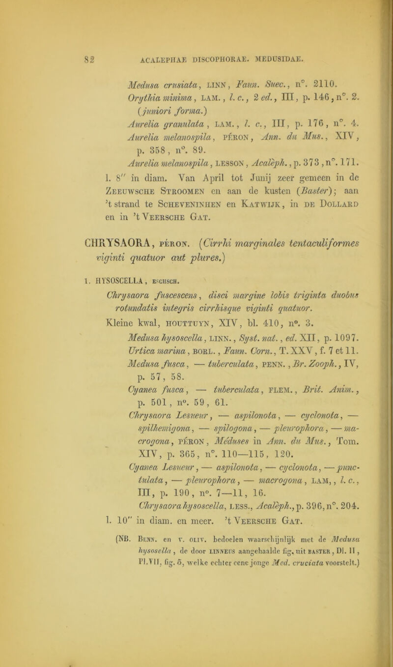 Medusa crnsiata, LINN, Faun. Snee., n°. 2110. Onjthia minima, lam., l.c., 2 ed., III, p. 146, n°. 2. (juniori forma.) Aurelia gramlata , lam., I. c., III, p. 176, n°. 4. Aurelia melanospïla, péron , Ann. du Mus., XIV, Aurelia melanospila, lesson , AcaUph., p. 373 , n°. 1 7 1. 1. 8 in diam. Van April tot Junij zeer gemeen in de Zeeuwsche Stroom en en aan de kasten (Baster); aan 5tstrand te Scheveninhen en Katwijk, in de Dollard en in ’t Veersche Gat. CHRYSAORA, péron. (CirrJii marginales tentaculiformes viginti quatuor aut plures.) 1. HY'SOSCELLA , esciisch. Chrysaora fuscescens, disci margine lobis triginta duobus rotundatis integris cirrkisque viginti quatuor. Kleine kwal, houttuyn, XIV, bl. 410, n°. 3. Medusa hysoscella, linn. , Syst. nat., ed. XII, p. 1097. Urtica marina, borl. , Faun. Corn., T. XXV, f. 7 et 11. Medusa fusca, — tuberculata, penn. , Br. Zoopïi., IV, p. 57, 58. Oyanea fusca, — tuberculata, flem. , Brit. Anini., p. 501 , n°. 59, 61. Chrysaora Lesueur, — aspilonota, — cyclonota, — Oyanea j^esueur, — aspuonoza, — cyaonoia, —punc- tulata, — pleurophora, — macrogona, lam, , Z. c., TTT. o. 190. n°. 7 — 11 . 16. p. 358 , n°. 89. (NB. Besn. en v. oliv. bedoelen waarschijnlijk met de Medusa hysosclla , de door LlNiVEUS aangehaalde fig, nit baster , Dl. 11, 1*1.VIf. fig. 5, welke echter cene jonge Mcd. cruciata voorstelt.)