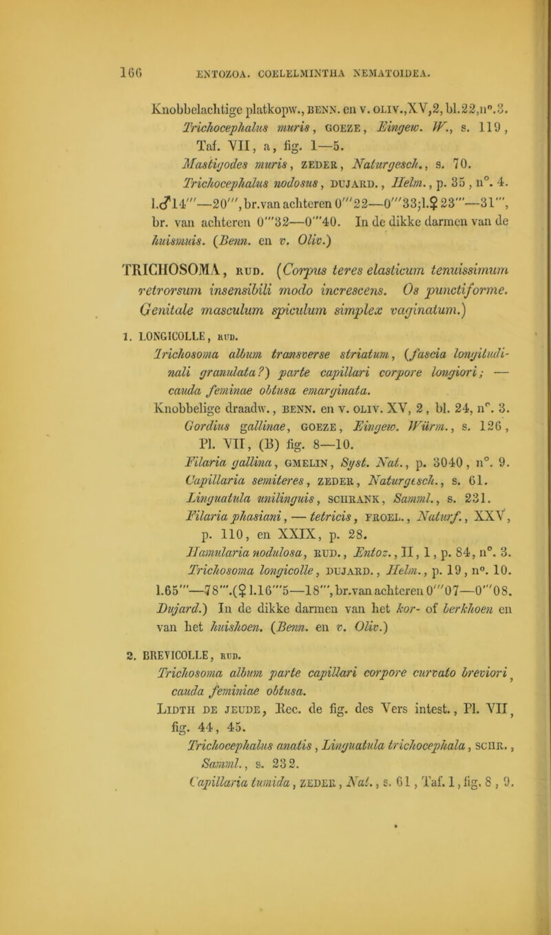 Knobbelachtige platkopw., benn. en v. oliv.,XV,2, bl.22,u°.S. Trichocephalus muris, goeze, Eingew. W., s. 119, Taf. VII, a, fig. 1—5. Mastigodes viuris, zeder, Nalurgesch., 9. 70. Trichocephalus nodosus, dujard. , Helm., p. 35 , n°. 4. l.cf 14,,/—20',br.van achteren 0,//22—0,//33;l.$ 23’—31', br. van aclitcren 0'32—040. In de dikke darmen van de huismuis. (Benn. en v. Oliv.) TRICHOSOMA, rud. [Corpus teres elasticum tenuissirnum retrorsum insensibili modo increscens. Os punctiforme. Genitale masculum spiculum simplex vaginatum.) 1. 1.0NGIC0LLE, kud. Irichosoma album tramverse slriatum, (fascia longitudi- nali granulata?) parte capillari corpore longiori; -— cauda feminae obtusa emarginata. Knobbelige draadw., benn. en v. oliv. XV, 2, bl. 24, n°. 3. Gordius gallinae, goeze, Eingew. Würrn., s. 126, Pi. VII, (B) fig. 8—10. Filaria gallina, gmelin, Sgst. Nat., p. 3040, n°. 9. Capillaria semiteres, zeder, Naturgesch., s. 61. Linguatula unilinguis, schrank, Sarnml., s. 231. Filaria phasiani, — tetricis, froel. , Naturf., XXV, p. 110, en XXIX, p. 28. Jlamularia nodulosa, rud. , Entoz., II, 1, p. 84, n°. 3. Trichosoma longicolle, dujard., TIelm., p. 19, n°. 10. 1.65'—78'.(?1.16'5—18', br.van achteren 0,,/07—0,08. Eujard.) In de dikke darmen van liet kor- of berkhoen en van het huishoen. (Benn. en v. Oliv.) 2. BREVICOLLE, ri:d. Trichosoma album parte capillari corpore curvato breviori ? cauda feminiae obtusa. Lidth de jeude, llec. de fig. des Vers intest., PI. VII} fig. 44, 45. Trichocephalus anatis, Linguatula trichocephala, sciiR., Sarnml., s. 232.