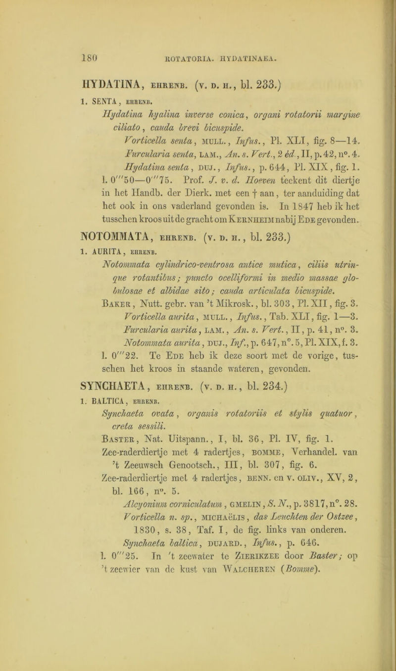 HYDAT1NA, eiirenb. (v. d. h., LI. 233.) 1. SENTA, EHBENB. Ihjdatina hyalina inverse conica, organi rotatorii margine ciliaio, cauda hrevi bicuspide. Vorticella senta, mull. , Infus., PI. XLT, fig. 8—14. Furcularia senta, lam., An. s. Vert., 2 cd., II, p. 42, n°. 4. Ihjdatina senta , duj. , Infus., p. 644, PI. XIX , fig. 1. 1. 0'50—0'75. Prof. ./. v. d. Hoeven teckent dit diertje in liet Handb. der Dierlc. met een f aan, ter aanduiding dat het ook in ons vaderland gevonden is. In 1847 heb ik het tusschen kroos uit de gracht om Kernheim nabij Ede gevonden. NOTOMMATA, eiirenb. (v. d. h. , bl. 233.) 1. AURITA, EHBENB. Notomnata cylindrico-ventrosa antice mutica, ciliis utrin- que rotantibus; puncto ocelliformi in medio massae glo- bulosae et albidae sito; cauda articulata bicuspide. Baker , Nutt. gebr. van ’t Mikrosk., bl. 303, PI. XII, fig. 3. Vorticella aurita, mull. , Infus., Tab. XLI, fig. 1—3. Furcularia aurita, lam. , An. s. Vert., II, p. 41, n°. 3. Notommata aurita, duj., Ivf., p. 647, n°. 5, PI. XIX, f. 3. 1. Ü22. Te Ede heb ik deze soort met de vorige, tus- schen het kroos in staande wateren, gevonden. SYNCHAETA, eiireatb. (v. d. h., bl. 234.) 1. BALTICA, ETIRENB. SyncJtaeta ovata, organis rotatoriis et stylis quatuor, creta sessili. Baster, Nat. Uitspann., I, bl. 36, PI. IV, fig. 1. Zee-raderdiertjc met 4 radertjes, bomme, Verhandel, van ’t Zeeuwsch Genootsch., III, bl. 307, fig. 6. Zee-raderdicrtje met 4 radertjes, benn. en v. oliv., XV, 2, bl. 166, n°. 5. Alcyonium corniculatum, gmelin , S. N., p. 3817, n°. 28. Vorticella n. sp., michaülis, das Leuchten der Ostzee, 1830, s. 38, Taf. I, de fig. links van onderen. Synchaeta baltica, dujard., Infus., p. 646. 1. 0'25. In 't zeewater te Zierikzee door liaster; op ’t zeewier van de kust van Walcheren {Bomme).