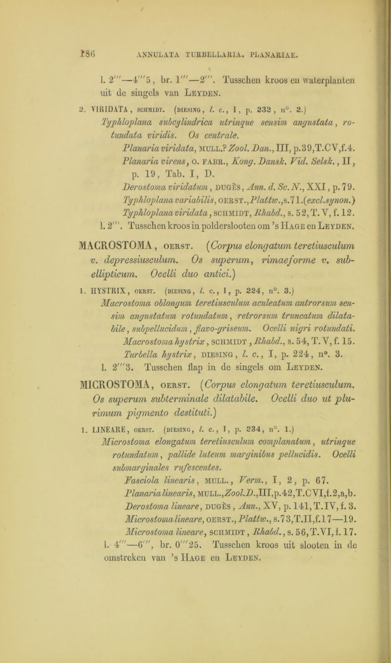 1. 2'—4'5, br. T—2'. Tusschen kroos en waterplanten uit de singels van Leyden. 2. VIRIDATA, schmidt. (diksing, /. c., I, p. 232, n°. 2.) Typhloplana subcylindrica utrinque sensim anyustata, ro- tundata viridis. Os centrale. Planaria viridata, mull.? Zool. Dan., IH, p.39,T.CV,f.4. Planaria virens, o. fabr., Kony. Dansk. Vid. Selsk., II, p. 19, Tab. I, D. Der os torna viridatum, dugês , Ann. d. Sc. N., XXI, p. 79. Typhloplana variabilis, OERST.,iVa^.,s.71 .(excl.synon.) Typhloplanaviridata, schmidt, lihald., s. 52,T. Y, f. 12. 1.2'. Tusscben kroos in polderslooten om’sIIage en Leyden. MACROSTOMA, oerst. (Corpus elongatum teretiusculmn v. depressiusculum. Os superunie rimaeforme v. sub- ellipticum. Ocelli duo antici.) 1. HYSTRIX, oerst. (diesing, l. c., I, p. 224, n°. 3.) Macrostoma oblonyum teretiusculmn aculeatum antrorsum sen- sitn anyustatum rotundatum, retrorsum truncatum dilata- bile, subpellucidum, Jlavo-yriseum. Ocelli niyri rotundaii. Macrostomahystrix, schmidt , Rhabd., s. 54, T. Y, f. 15. Turbella hystrix, diesing, l. c., I, p. 224, n°. 3. 1. 2'3. Tusschen flap in de singels om Leyden. MICROSTOMA, oerst. (Corpus elongatum teretiusculum. Os superum subterminale dilatabile. Ocelli duo ut plu- rimum pigmento destituti.) I. LINEARE, oerst. (diesing, l. c., I, p. 234, n°. 1.) Microstoma elongatum teretiusculum complanatum, utrinque rotundatum, pallide luteum maryinibus pellucidis. Ocelli submaryinales rufescentes. Fasciola linearis, mull. , Verm., I, 2, p. 67. Planarialinearis, MULL.,^oo/.D.,III,p.42,T.C VI,f.2,a,b. Derostoma lineare, dugès , Ann., XV, p. 141, T.IV, f. 3. Mier os torna lineare, oerst., Plattw., s.7 3,T.II,f.l 7—19. Microstoma lineare, schmidt , Rhabd., s. 56, T.VI, f. 17. 1. 4'—6', br. 0,,/25. Tusschen kroos uit slooten in de omstreken van ’s IIage en Leyden.