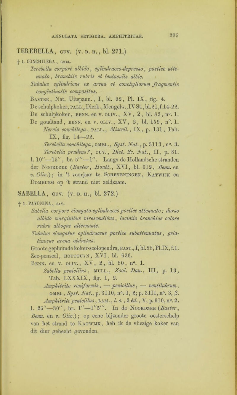 TEREBELLA, cuv. (v. d. h. , bl. 271.) f 1. CONCHILEGA, ghel. Terebella corpore albido, cylindraceo-depresso, postice atte- nuato, branchiis rubris et tentaculis albis. Tubidus cylindricus ex arena et conchyliorurn fragmentis conglutinatis compositus. Baster, Nat. Uitspann., I, bl. 92, PI. IX, fig. 4. De schulpkoker, pall., Dierk.,Mengelw.,IVSt.,bl.21,f. 14-22. De scbulpkoker, benn. env. oliv. , XV, 2, bl. 82, n°. 1. De goudtand, benn. en v. oliv., XV, 2, bl. 159, n°. 1. Nereis conchilega, pall., Miscell., IX, p. 131, Tab. IX, fig. 14—22. Terebella conchilega, gmel. , Sgst. Nat., p. 3113 , n°. 3. Terebella prudens?, cuv., Biet. Sc. Nat., II, p. 81. 1.10—15, br. 5'—1. Langs de HoUandscbe stranden der Noordzee {Baster, Iloatt., XVI, bl. 612, Benn. en v. Oliv.); in ’t voorjaar te Scheveningen , Katwijk en Domburg op ’t strand niet zeldzaam. SABELLA, cuv. (v. d. h., bl. 272.) f 1. PAVONINA, SAV. Sabella corpore elongato-cylindraceo postice attenuato; dorso albido marginibus virescentibns, laciniis branchiae colore rnbro alboque alternante. Tubidus elongatus cylindraceus postice subattenuatus, gela- tinosus arena obductus. Groote gepluimde koker-scolopendra, bast., I, bl.8 8, Pl.IX, f.1. Zee-pensecl, eouttuïN, XVI, bl. 626. Benn. en v. oliv., XV, 2, bl. 80, n°. 1. Sabella penicillus, mull., Zool. Ban., III, p. 13, Tab. LXXXIX, fig. 1, 2. Amphitrite reniformis, —penicillus, — ventilabrum, gmel., Syst. Nat., p. 3110, n°. 1, 2; p. 3111, n°. 3, (3. Amphitrite penicillus, lam. , l. c., 2 èd., V, p. 610, n°. 2. 1. 25—30, br. 1—15'. In de Noordzee {Baster, Benn. en v. Oliv.); op eene bijzonder groote oesterschelp van het strand te Katwijk, heb ik de vliezige koker van dit dier gehecht gevonden.