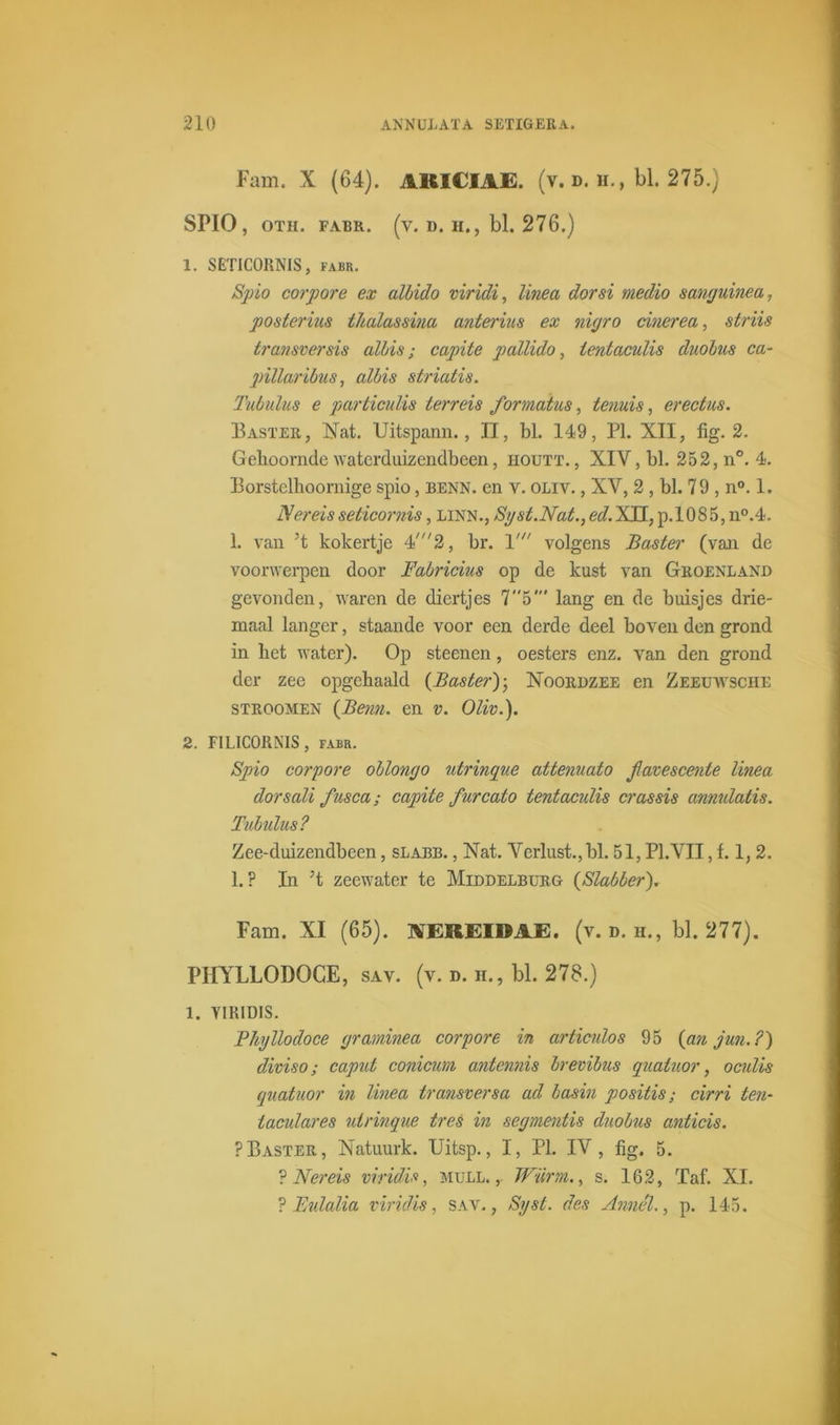 Fam. X (64). AKICIAE. (v. d. h. , bl. 275.) SP10, OTH. FABR. (v. D. H., bl. 276.) 1. SETICORNIS, FABR. Spio corpore ex albido viridi, linea dor si medio sanguinea, posterius thalassina anterius ex nigro cinerea, striis transver sis albis; capite pallido, ientaculis duobus ca- pillaribus, albis striatis. Tubulus e particulis terreis formaius, tenuis, erectus. Baster, Nat. Uitspann., II, bl. 149, PI. XII, fig. 2. Geboomde waterduizendbeen, houtt. , XIY, bl. 252, n°. 4. Borstelboornige spio, benn. en v. oliv. , XV, 2 , bl. 7 9 , n°. 1. Nereis seticornis, linn., Syst.Nat., ed. XH, p. 108 5, n°.4. 1. van ’t kokertje 4' 2, br. V volgens Baster (van de voorwerpen door Fabricius op de kust van Groenland gevonden, waren de diertjes 75' lang en de buisjes drie- maal langer, staande voor een derde deel boven den grond in bet water). Op steenen, oesters enz. van den grond der zee opgebaald {Baster); Noordzee en Zeeuwsche stroomen {Benn. en v. Oliv.). 2. FILICORNIS, FABR. Spio corpore oblong o utringue attenuato favescenle linea dorsali fusca; capite furcato tentaculis crassis annulatis. Tubulus? Zee-duizendbeen, slabb. , Nat. Verlust.,bl. 51, PI.VII, f. 1,2. 1. ? In ’t zeewater te Middelburg {Slabber). Fam. XI (65). KEREIDAE, (v. d. h., bl. 277). PHYLLODOCE, sav. (v. d. h., bl. 278.) 1. YIKIDIS. Phyllodoce graminea corpore in articulos 95 {an jun.?) diviso; caput conicim antennis brevibus quaiuor, oculis quatuor in linea transversa ad basin positis; cirri ten- taculares uirinque tres in segmentis duobus anticis. ?Baster, Natuurk. Uitsp., I, PI. IV, fig. 5. ? Nereis viridis, mull. ,. Wurm., s. 162, Taf. XI. ? Eulalia viridis, sav., Syst. des Annél., p. 145.