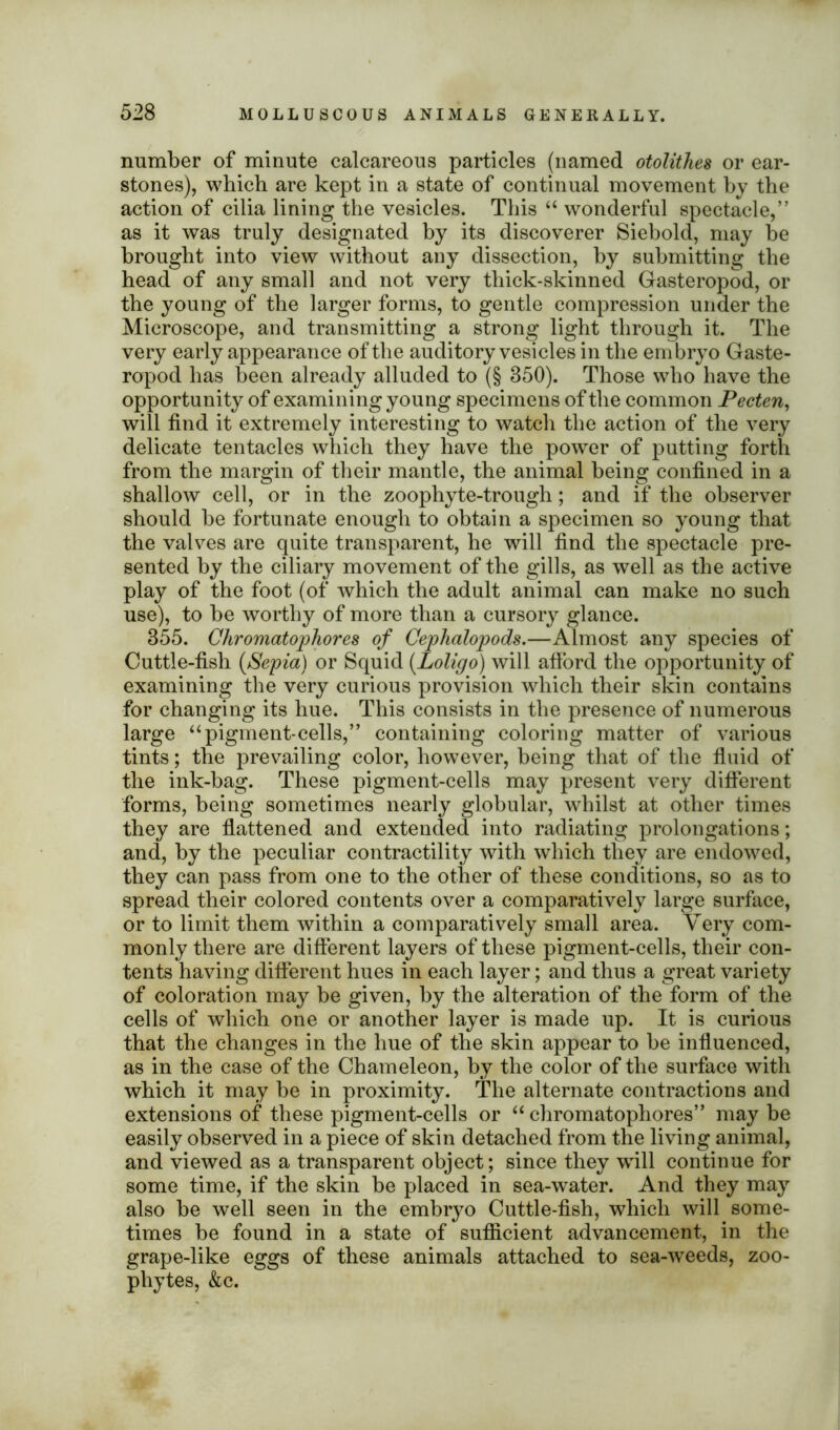 number of minute calcareous particles (named otolithes or ear- stones), which are kept in a state of continual movement by the action of cilia lining the vesicles. This “ wonderful spectacle,” as it was truly designated by its discoverer Siebold, may be brought into view without any dissection, by submitting the head of any small and not very thick-skinned Gasteropod, or the young of the larger forms, to gentle compression under the Microscope, and transmitting a strong light through it. The very early appearance of the auditory vesicles in the embryo Gaste- ropod has been already alluded to (§ 350). Those who have the opportunity of examining young specimens of the common Pecten, will find it extremely interesting to watch the action of the very delicate tentacles which they have the power of putting forth from the margin of their mantle, the animal being confined in a shallow cell, or in the zoophyte-trough; and if the observer should be fortunate enough to obtain a specimen so young that the valves are quite transparent, he will find the spectacle pre- sented by the ciliary movement of the gills, as well as the active play of the foot (of which the adult animal can make no such use), to be worthy of more than a cursory glance. 355. Chromatophores of Cephalopods.—Almost any species of Cuttle-fish (Sepia) or Squid (.Loligo) will afiord the opportunity of examining the very curious provision which their skin contains for changing its hue. This consists in the presence of numerous large “pigment-cells,” containing coloring matter of various tints; the prevailing color, however, being that of the fluid of the ink-bag. These pigment-cells may present very different forms, being sometimes nearly globular, whilst at other times they are flattened and extended into radiating prolongations; and, by the peculiar contractility with which they are endowed, they can pass from one to the other of these conditions, so as to spread their colored contents over a comparatively large surface, or to limit them within a comparatively small area. Very com- monly there are different layers of these pigment-cells, their con- tents having different hues in each layer; and thus a great variety of coloration may be given, by the alteration of the form of the cells of which one or another layer is made up. It is curious that the changes in the hue of the skin appear to be influenced, as in the case of the Chameleon, by the color of the surface with which it may be in proximity. The alternate contractions and extensions of these pigment-cells or “chromatophores” may be easily observed in a piece of skin detached from the living animal, and viewed as a transparent object; since they wrill continue for some time, if the skin be placed in sea-water. And they may also be well seen in the embryo Cuttle-fish, which will some- times be found in a state of sufficient advancement, in the grape-like eggs of these animals attached to sea-weeds, zoo- phytes, &c.