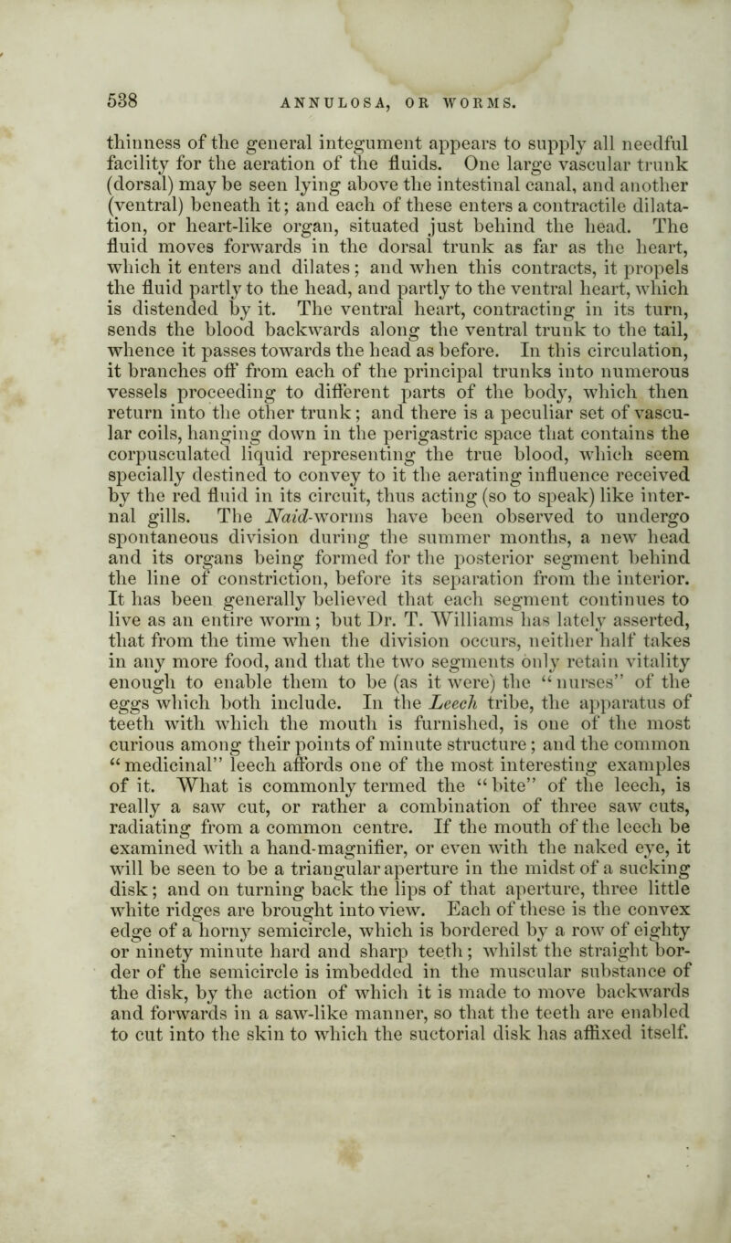 588 thinness of the general integument appears to supply all needful facility for the aeration of the fluids. One large vascular trunk (dorsal) may he seen lying above the intestinal canal, and another (ventral) beneath it; and each of these enters a contractile dilata- tion, or heart-like organ, situated just behind the head. The fluid moves forwards in the dorsal trunk as far as the heart, which it enters and dilates; and when this contracts, it propels the fluid partly to the head, and partly to the ventral heart, which is distended by it. The ventral heart, contracting in its turn, sends the blood backwards along the ventral trunk to the tail, whence it passes towards the head as before. In this circulation, it branches off from each of the principal trunks into numerous vessels proceeding to different parts of the body, which then return into the other trunk; and there is a peculiar set of vascu- lar coils, hanging down in the perigastric space that contains the corpusculated liquid representing the true blood, which seem specially destined to convey to it the aerating influence received by the red fluid in its circuit, thus acting (so to speak) like inter- nal gills. The IVaseZ-worms have been observed to undergo spontaneous division during the summer months, a new head and its organs being formed for the posterior segment behind the line of constriction, before its separation from the interior. It has been generally believed that each segment continues to live as an entire worm; but Dr. T. Williams has lately asserted, that from the time when the division occurs, neither half takes in any more food, and that the two segments only retain vitality enough to enable them to be (as it were) the “ nurses” of the eggs which both include. In the Leech tribe, the apparatus of teeth with which the mouth is furnished, is one of the most curious among their points of minute structure; and the common “medicinal” leech affords one of the most interesting examples of it. What is commonly termed the “ bite” of the leech, is really a saw cut, or rather a combination of three saw cuts, radiating from a common centre. If the mouth of the leech be examined with a hand-magnifier, or even with the naked eye, it will be seen to be a triangular aperture in the midst of a sucking disk; and on turning back the lips of that aperture, three little white ridges are brought into view. Each of these is the convex edge of a horny semicircle, which is bordered by a row of eighty or ninety minute hard and sharp teeth; whilst the straight bor- der of the semicircle is imbedded in the muscular substance of the disk, by the action of which it is made to move backwards and forwards in a saw-like manner, so that the teeth are enabled to cut into the skin to which the suctorial disk has affixed itself.