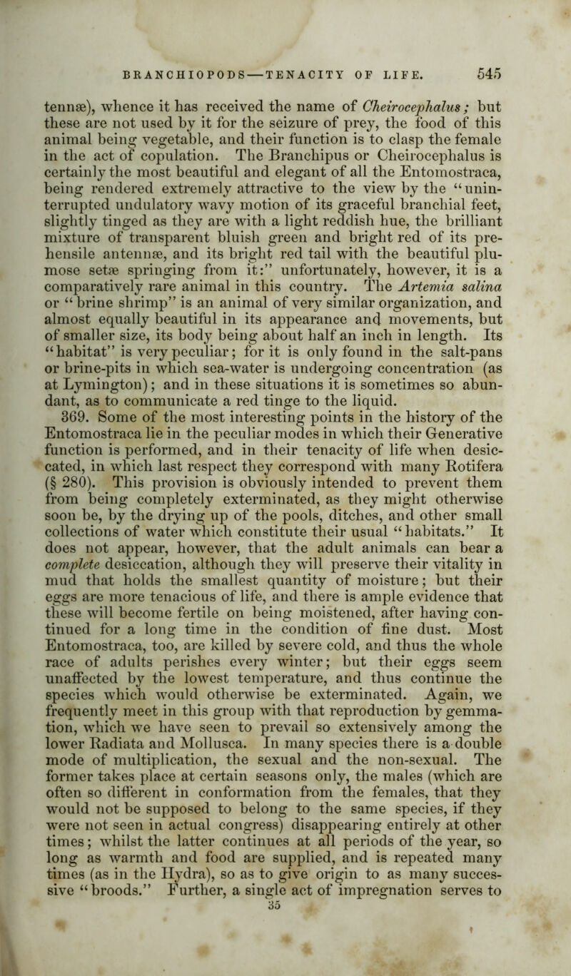 tennse), whence it has received the name of Cheirocephalus ; but these are not used by it for the seizure of prey, the food of this animal being vegetable, and their function is to clasp the female in the act of copulation. The Branchipus or Cheirocephalus is certainly the most beautiful and elegant of all the Entomostraca, being rendered extremely attractive to the view by the “unin- terrupted undulatory wavy motion of its graceful branchial feet, slightly tinged as they are with a light reddish hue, the brilliant mixture of transparent bluish green and bright red of its pre- hensile antennae, and its bright red tail with the beautiful plu- mose setae springing from it:” unfortunately, however, it is a comparatively rare animal in this country. The Artemia salina or “ brine shrimp” is an animal of very similar organization, and almost equally beautiful in its appearance and movements, but of smaller size, its body being about half an inch in length. Its “habitat” is very peculiar; for it is only found in the salt-pans or brine-pits in which sea-water is undergoing concentration (as at Lymington); and in these situations it is sometimes so abun- dant, as to communicate a red tinge to the liquid. 369. Some of the most interesting points in the history of the Entomostraca lie in the peculiar modes in which their Generative function is performed, and in their tenacity of life when desic- cated, in which last respect they correspond with many Rotifera (§ 280). This provision is obviously intended to prevent them from being completely exterminated, as they might otherwise soon be, by the drying up of the pools, ditches, and other small collections of water which constitute their usual “habitats.” It does not appear, however, that the adult animals can bear a complete desiccation, although they wTill preserve their vitality in mud that holds the smallest quantity of moisture; but their eggs are more tenacious of life, and there is ample evidence that these will become fertile on being moistened, after having con- tinued for a long time in the condition of fine dust. Most Entomostraca, too, are killed by severe cold, and thus the whole race of adults perishes every winter; but their eggs seem unaffected by the lowest temperature, and thus continue the species which would otherwise be exterminated. Again, we frequently meet in this group with that reproduction by gemma- tion, which we have seen to prevail so extensively among the lower Radiata and Mollusca. In many species there is a double mode of multiplication, the sexual and the non-sexual. The former takes place at certain seasons only, the males (which are often so different in conformation from the females, that they would not be supposed to belong to the same species, if they were not seen in actual congress) disappearing entirely at other times; whilst the latter continues at all periods of the year, so long as warmth and food are supplied, and is repeated many times (as in the Hydra), so as to give origin to as many succes- sive “broods.” Further, a single act of impregnation serves to ♦