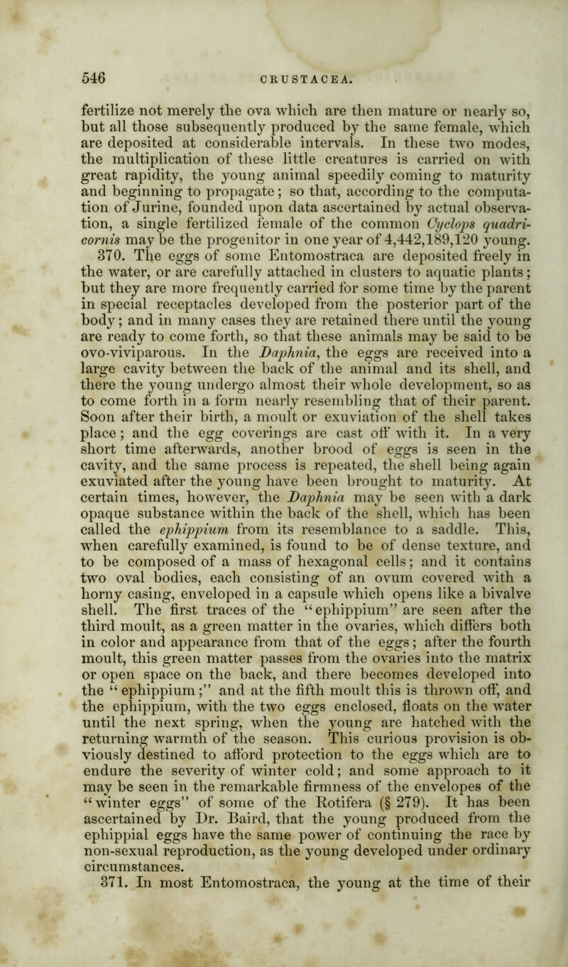 fertilize not merely the ova which are then mature or nearly so, but all those subsequently produced by the same female, which are deposited at considerable intervals. In these two modes, the multiplication of these little creatures is carried on with great rapidity, the young animal speedily coming to maturity and beginning to propagate; so that, according to the computa- tion of Jurine, founded upon data ascertained by actual observa- tion, a single fertilized female of the common Cyclops quadri- cornis may be the progenitor in one year of 4,442,189,120 young. 370. The eggs of some Entomostraca are deposited freely in the water, or are carefully attached in clusters to aquatic plants; but they are more frequently carried for some time by the parent in special receptacles developed from the posterior part of the body; and in many cases they are retained there until the young are ready to come forth, so that these animals may be said to be ovo-viviparous. In the Daphnia, the eggs are received into a large cavity between the back of the animal and its shell, and there the young undergo almost their whole development, so as to come forth in a form nearly resembling that of their parent. Soon after their birth, a moult or exuviation of the shell takes place ; and the egg coverings are cast off with it. In a very short time afterwards, another brood of eggs is seen in the cavity, and the same process is repeated, the shell being again exuviated after the young have been brought to maturity. At certain times, however, the Daphnia may be seen with a dark opaque substance within the back of the shell, which has been called the ephippium from its resemblance to a saddle. This, when carefully examined, is found to be of dense texture, and to be composed of a mass of hexagonal cells; and it contains two oval bodies, each consisting of an ovum covered with a horny casing, enveloped in a capsule which opens like a bivalve shell. The first traces of the “ ephippium” are seen after the third moult, as a green matter in the ovaries, which differs both in color and appearance from that of the eggs; after the fourth moult, this green matter passes from the ovaries into the matrix or open space on the back, and there becomes developed into the “ ephippium;” and at the fifth moult this is thrown off, and the ephippium, with the two eggs enclosed, floats on the water until the next spring, when the young are hatched with the returning warmth of the season. This curious provision is ob- viously destined to afford protection to the eggs which are to endure the severity of winter cold; and some approach to it may be seen in the remarkable firmness of the envelopes of the “ winter eggs” of some of the Rotifera (§ 279). It has been ascertained by Dr. Baird, that the young produced from the epliippial eggs have the same power of continuing the race by non-sexual reproduction, as the young developed under ordinary circumstances. 371. In most Entomostraca, the young at the time of their