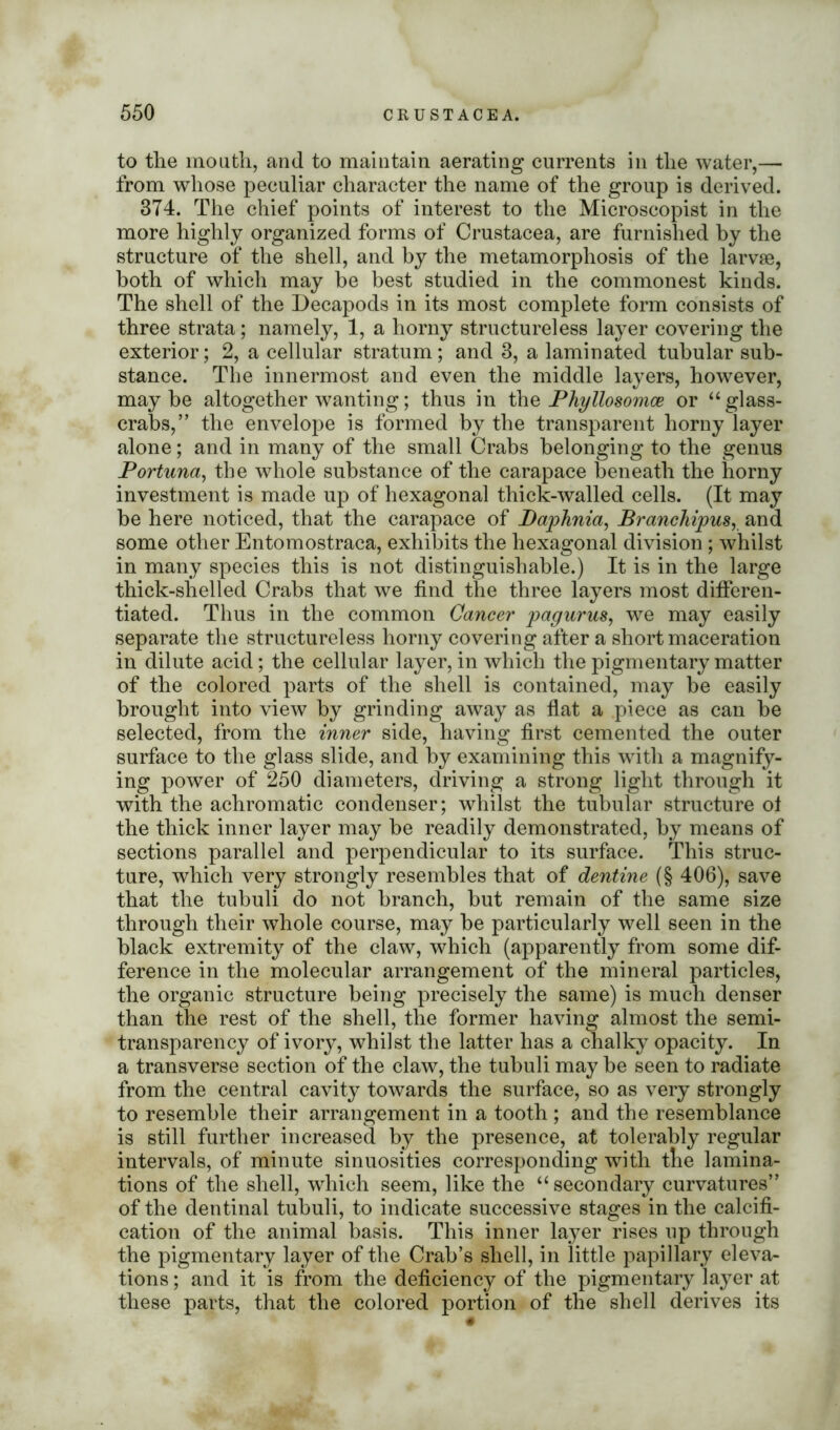 to the mouth, and to maintain aerating currents in the water,— from whose peculiar character the name of the group is derived. 3T4. The chief points of interest to the Microscopist in the more highly organized forms of Crustacea, are furnished by the structure of the shell, and by the metamorphosis of the larvae, both of which may be best studied in the commonest kinds. The shell of the Decapods in its most complete form consists of three strata; namely, 1, a horny structureless layer covering the exterior; 2, a cellular stratum; and 3, a laminated tubular sub- stance. The innermost and even the middle layers, however, maybe altogether wanting; thus in the Phyllosomce or “ glass- crabs,” the envelope is formed by the transparent horny layer alone; and in many of the small Crabs belonging to the genus Portuna, the whole substance of the carapace beneath the horny investment is made up of hexagonal thick-walled cells. (It may be here noticed, that the carapace of Daphnia, Branchipus, and some other Entomostraca, exhibits the hexagonal division; whilst in many species this is not distinguishable.) It is in the large thick-shelled Crabs that we find the three layers most differen- tiated. Thus in the common Cancer pagurus, we may easily separate the structureless horny covering after a short maceration in dilute acid; the cellular layer, in which the pigmentary matter of the colored parts of the shell is contained, may be easily brought into view by grinding away as flat a piece as can be selected, from the inner side, having first cemented the outer surface to the glass slide, and by examining this with a magnify- ing power of 250 diameters, driving a strong light through it with the achromatic condenser; whilst the tubular structure of the thick inner layer may be readily demonstrated, by means of sections parallel and perpendicular to its surface. This struc- ture, which very strongly resembles that of dentine (§ 406), save that the tubuli do not branch, but remain of the same size through their whole course, may be particularly well seen in the black extremity of the claw, which (apparently from some dif- ference in the molecular arrangement of the mineral particles, the organic structure being precisely the same) is much denser than the rest of the shell, the former having almost the semi- transparency of ivory, whilst the latter has a chalky opacity. In a transverse section of the claw, the tubuli may be seen to radiate from the central cavity towards the surface, so as very strongly to resemble their arrangement in a tooth ; and the resemblance is still further increased by the presence, at tolerably regular intervals, of minute sinuosities corresponding with the lamina- tions of the shell, wdiieh seem, like the “secondary curvatures” of the dentinal tubuli, to indicate successive stages in the calcifi- cation of the animal basis. This inner layer rises up through the pigmentary layer of the Crab’s shell, in little papillary eleva- tions ; and it is from the deficiency of the pigmentary layer at these parts, that the colored portion of the shell derives its