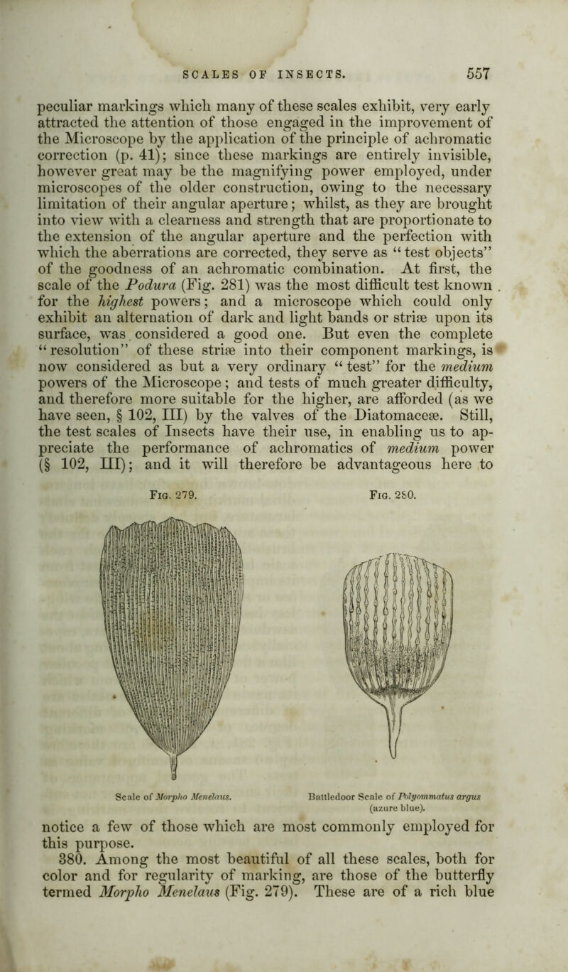 peculiar markings which many of these scales exhibit, very early attracted the attention of those engaged in the improvement of the Microscope by the application of the principle of achromatic correction (p. 41); since these markings are entirely invisible, however great may be the magnifying power employed, under microscopes of the older construction, owing to the necessary limitation of their angular aperture; whilst, as they are brought into view with a clearness and strength that are proportionate to the extension of the angular aperture and the perfection with which the aberrations are corrected, they serve as “test objects” of the goodness of an achromatic combination. At first, the scale of the Podura (Fig. 281) was the most difficult test known . for the highest powers; and a microscope which could only exhibit an alternation of dark and light bands or striae upon its surface, was. considered a good one. But even the complete “ resolution” of these striae into their component markings, is now considered as but a very ordinary “ test” for the medium powers of the Microscope ; and tests of much greater difficulty, and therefore more suitable for the higher, are afforded (as we have seen, § 102, III) by the valves of the Diatomaceae. Still, the test scales of Insects have their use, in enabling us to ap- preciate the performance of achromatics of medium power (§ 102, III); and it will therefore be advantageous here to Fig. 279. Fig. 2S0. Scale of Morpho Menelaus. Battledoor Scale of Polyommatus argus (azure blue). notice a few of those which are most commonly employed for this purpose. 880. Among the most beautiful of all these scales, both for color and for regularity of marking, are those of the butterfly termed Morpho Menelaus (Fig. 279). These are of a rich blue