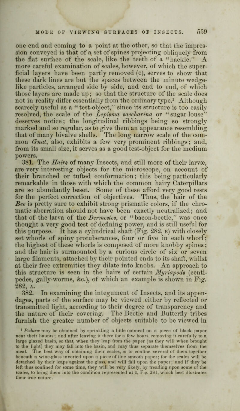 one end and coming to a point at the other, so that the impres- sion conveyed is that of ^ set of spines projecting obliquely from the flat surface of the scale, like the teeth of a “hackle.” A more careful examination of scales, however, of which the super- ficial layers have been partly removed (c), serves to show that these dark lines are but the spaces between the minute wedge- like particles, arranged side by side, and end to end, of which those layers are made up; so that the structure of the scale does not in reality differ essentially from the ordinary type.1 Although scarcely useful as a “test-object,” since its structure is too easily resolved, the scale of the Lepisma saccharina or “sugar-louse” deserves notice; the longitudinal ribbings being so strongly marked and so regular, as to give them an appearance resembling that of many bivalve shells. The long narrow scale of the com- mon Gnat, also, exhibits a few very prominent ribbings; and, from its small size, it serves as a good test-object for the medium powers. 381. The Hairs of many Insects, and still more of their larvae, are very interesting objects for the microscope, on account of their branched or tufted conformation; this being particularly remarkable in those with which the common hairy Caterpillars are so abundantly beset. Some of these afford very good tests for the perfect correction of objectives. Thus, the hair of the Bee is pretty sure to exhibit strong prismatic colors, if the chro- matic aberration should not have been exactly neutralized; and that of the larva of the Bermestes, or “bacon-beetle,” was once thought a very good test of defining power, and is still useful for this purpose. It has a cylindrical shaft (Fig. 282, b) with closely set whorls of spiny protuberances, four or five in each whorl; the highest of these whorls is composed of more knobby spines; and the hair is surmounted by a curious circle of six or seven large filaments, attached by their pointed ends to its shaft, whilst at their free extremities they dilate into knobs. An approach to this structure is seen in the hairs of certain Myriapods (centi- pedes, gally-worms, &c.), of which an example is shown in Fig. 282, a. 382. In examining the integument of Insects, and its appen- dages, parts of the surface may be viewed either by reflected or transmitted light, according to their degree of transparency and the nature of their covering. The Beetle and Butterfly tribes furnish the greater number of objects suitable to be viewed in 1 Podurce may be obtained by sprinkling a little oatmeal on a piece of black paper near their haunts; and after leaving it there for a few hours, removing it carefully to a large glazed basin, so that, when they leap from the paper (as they will when brought to the light) they may fall into the basin, and may thus separate themselves from the meal. The best way of obtaining their scales, is to confine several of them together beneath a wine-glass inverted upon a piece of fine smooth paper; for the scales will be detached by their leaps against the glass, and will fall upon the paper; and if they be left thus confined for some time, they will be very likely, by treading upon some of the scales, to bring them into the condition represented at c, Fig. 281, which best illustrates their true nature.