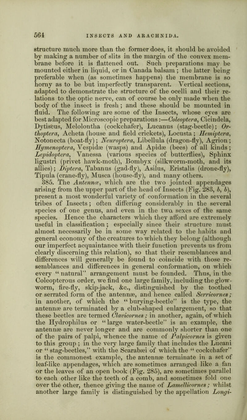 structure mucli more than the former does, it should be avoided by making a number of slits in the margin of the convex mem- brane before it is flattened out. Such preparations may be mounted either in liquid, or in Canada balsam ; the latter being preferable when (as sometimes happens) the membrane is so horny as to be but imperfectly transparent. Vertical sections, adapted to demonstrate the structure of the ocelli and their re- lations to the optic nerve, can of course be only made when the body of the insect is fresh; and these should be mounted in fluid. The following are some of the Insects, whose eyes are best adapted for Microscopic preparations:—Coleoptera, Cicindela, Dytis'cus, Melolontha (cockchafer), Lucanus (stag-beetle); Or- thoptera, Acheta (house and field crickets), Locusta ; Hemiptera, Notonecta (boat-fly); Neuroptera, Libellula (dragon-fly), Agrion ; Hymenoptera, Vespidae (wasps) and Apidae (bees) of all kinds; Lepidoptera, Vanessa (various species of butterflies), Sphinx ligustri (privet hawk-moth), Bombyx (silkworm-moth, and its allies); Biptera, Tabanus (gad-fly), Asilus, Eristalis (drone-fly), Tipuia (crane-fly), Musca (house-fly), and many others. 385. The Antennoe, which are the two jointed appendages arising from the upper part of the head of Insects (Fig. 283, b, 6), present a most wonderful variety of conformation in the several tribes of Insects; often differing considerably in the several species of one genus, and even in the two sexes of the same species. Hence the characters which they afl'ord are extremely useful in classification; especially since their structure must almost necessarily be in some way related to the habits and general economy of the creatures to which they belong (although our imperfect acquaintance with their function prevents us from clearly discerning this relation), so that their resemblances and differences will generally be found to coincide with those re- semblances and differences in general conformation, on which every “ natural” arrangement must be founded. Thus, in the Coleopterous order, we find one large family, including the glow- worm, fire-fly, skip-jack, &c., distinguished by the toothed or serrated form of the antennae, and hence called Serricornes; in another, of which the “ burying-beetle” is the type, the antennae are terminated by a club-shaped enlargement, so that these beetles are termed Clavicornes; in another, again, of which the Hydrophilus or “large water-beetle” is an example, the antennae are never longer and are commonly shorter than one of the pairs of palpi, whence the name of Palpicornes is given to this group ; in the very large family that includes the Lucani or “ stag-heetles,” with the Scarabaei of which the “ cockchafer” is the commonest example, the antennae terminate in a set of leaf-like appendages, which are sometimes arranged like a fan or the leaves of an open book (Fig. 285), are sometimes parallel to each other like the teeth of a comb, and sometimes fold one over the other, thence giving the name of Lamellicornes; whilst another large family is distinguished by the appellation Longi-