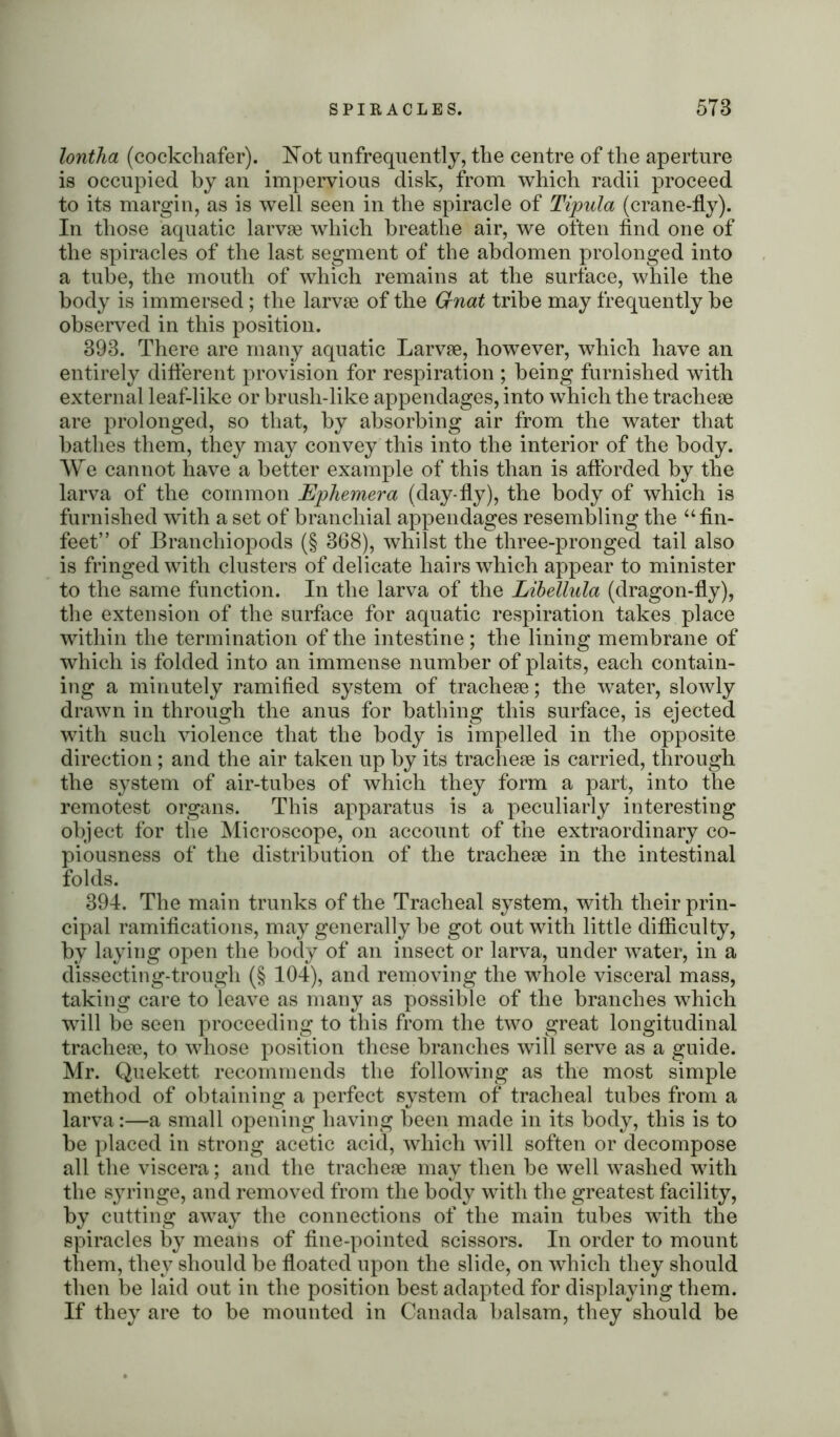 lontha (cockchafer). Not unfrequently, the centre of the aperture is occupied by an impervious disk, from which radii proceed to its margin, as is well seen in the spiracle of Tipula (crane-fly). In those aquatic larvae which breathe air, we often find one of the spiracles of the last segment of the abdomen prolonged into a tube, the mouth of which remains at the surface, while the body is immersed; the larvae of the Gnat tribe may frequently be observed in this position. 393. There are many aquatic Larvae, however, which have an entirely different provision for respiration ; being furnished with external leaf-like or brush-like appendages, into which the tracheae are prolonged, so that, by absorbing air from the water that bathes them, they may convey this into the interior of the body. We cannot have a better example of this than is afforded by the larva of the common Ephemera (day-fly), the body of which is furnished with a set of branchial appendages resembling the “ fin- feet” of Branchiopods (§ 368), whilst the tliree-pronged tail also is fringed with clusters of delicate hairs which appear to minister to the same function. In the larva of the Libellula (dragon-fly), the extension of the surface for aquatic respiration takes place within the termination of the intestine; the lining membrane of which is folded into an immense number of plaits, each contain- ing a minutely ramified system of tracheae; the water, slowly drawn in through the anus for bathing this surface, is ejected with such violence that the body is impelled in the opposite direction; and the air taken up by its tracheae is carried, through the system of air-tubes of which they form a part, into the remotest organs. This apparatus is a peculiarly interesting object for the Microscope, on account of the extraordinary co- piousness of the distribution of the tracheae in the intestinal folds. 394. The main trunks of the Tracheal system, with their prin- cipal ramifications, may generally be got out with little difficulty, by laying open the body of an insect or larva, under water, in a dissecting-trougli (§ 104), and removing the whole visceral mass, taking care to leave as many as possible of the branches which will be seen proceeding to this from the two great longitudinal tracheae, to whose position these branches will serve as a guide. Mr. Quekett recommends the following as the most simple method of obtaining a perfect system of tracheal tubes from a larva:—a small opening having been made in its body, this is to be placed in strong acetic acid, which will soften or decompose all the viscera; and the tracheae may then be well washed with the syringe, and removed from the body with the greatest facility, by cutting away the connections of the main tubes with the spiracles by means of fine-pointed scissors. In order to mount them, they should be floated upon the slide, on which they should then be laid out in the position best adapted for displaying them. If they are to be mounted in Canada balsam, they should be