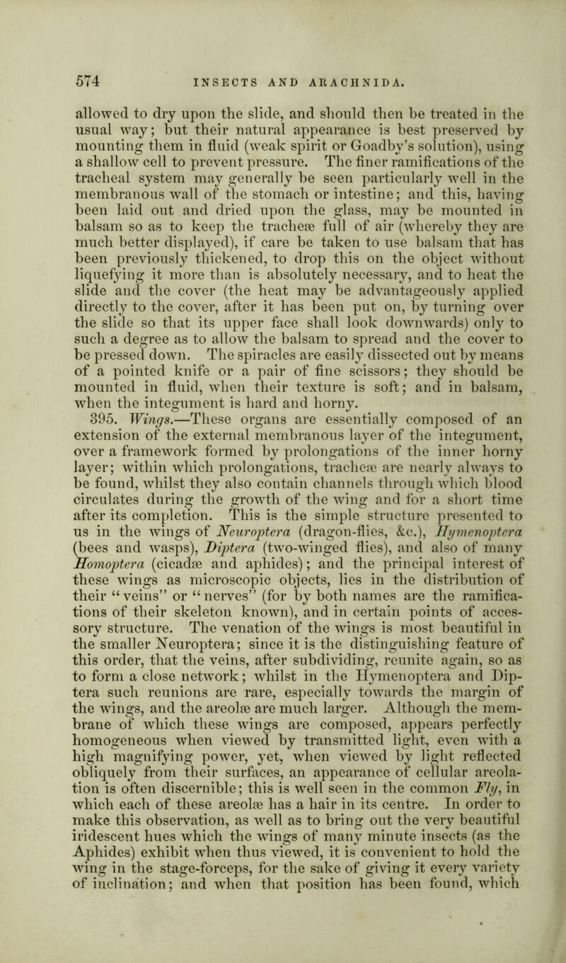 allowed to dry upon the slide, and should then be treated in the usual way; hut their natural appearance is best preserved by mounting them in fluid (weak spirit or Goadby’s solution), using a shallow cell to prevent pressure. The finer ramifications of the tracheal system may generally be seen particularly well in the membranous wall of the stomach or intestine; and this, having been laid out and dried upon the glass, may be mounted in balsam so as to keep the tracheae full of air (whereby they are much better displayed), if care be taken to use balsam that has been previously thickened, to drop this on the object without liquefying it more than is absolutely necessary, and to heat the slide and the cover (the heat may be advantageously applied directly to the cover, after it has been put on, by turning over the slide so that its upper face shall look downwards) only to such a degree as to allow the balsam to spread and the cover to be pressed down. The spiracles are easily dissected out by means of a pointed knife or a pair of fine scissors; they should be mounted in fluid, when their texture is soft; and in balsam, when the integument is hard and horny. 395. Wings.—These organs are essentially composed of an extension of the external membranous layer of the integument, over a framework formed by prolongations of the inner horny layer; within which prolongations, tracheae are nearly always to be found, whilst they also contain channels through which blood circulates during the growth of the wing and for a short time after its completion. This is the simple structure presented to us in the wings of Neuroptera (dragon-flies, &c.), Hymenoptera (bees and wasps), Biptera (two-winged flies), and also of many Homoptera (cicadae and aphides); and the principal interest of these wings as microscopic objects, lies in the distribution of their “veins” or “nerves” (for by both names are the ramifica- tions of their skeleton known), and in certain points of acces- sory structure. The venation of the wings is most beautiful in the smaller Heuroptera; since it is the distinguishing feature of this order, that the veins, after subdividing, reunite again, so as to form a close network; whilst in the Hymenoptera and Dip- tera such reunions are rare, especially towards the margin of the wings, and the areolae are much larger. Although the mem- brane of which these wings are composed, appears perfectly homogeneous when viewed by transmitted light, even with a high magnifying power, yet, when viewed by light reflected obliquely from their surfaces, an appearance of cellular areola- tion is often discernible; this is well seen in the common Fly, in which each of these areolae has a hair in its centre. In order to make this observation, as well as to bring out the very beautiful iridescent hues which the wings of many minute insects (as the Aphides) exhibit when thus viewed, it is convenient to hold the wing in the stage-forceps, for the sake of giving it every variety of inclination; and when that position has been found, which