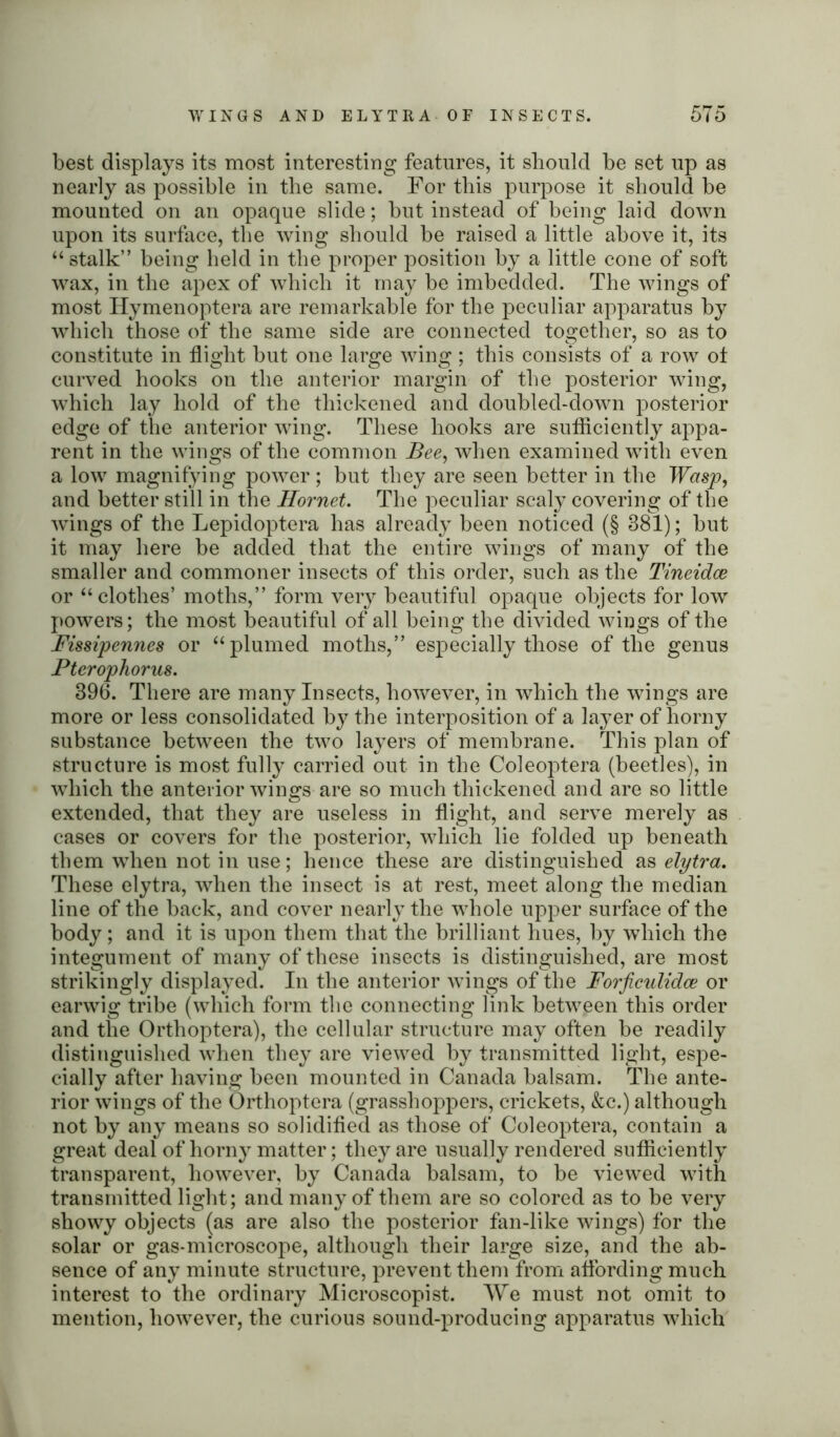 best displays its most interesting features, it should be set up as nearly as possible in the same. For this purpose it should be mounted on an opaque slide; but instead of being laid down upon its surface, the wing should be raised a little above it, its “stalk” being held in the proper position by a little cone of soft wax, in the apex of which it may be imbedded. The wings of most ITymenoptera are remarkable for the peculiar apparatus by which those of the same side are connected together, so as to constitute in flight but one large wing ; this consists of a row ot curved hooks on the anterior margin of the posterior wing, which lay hold of the thickened and doubled-down posterior edge of the anterior wing. These hooks are sufficiently appa- rent in the wings of the common Bee, when examined with even a low magnifying power; but they are seen better in the Wasp, and better still in the Hornet. The peculiar scaly covering of the wings of the Lepidoptera has already been noticed (§ 381); but it may here be added that the entire wings of many of the smaller and commoner insects of this order, such as the Tineidce or “clothes’ moths,” form very beautiful opaque objects for low powers; the most beautiful of all being the divided wings of the Fissipennes or “plumed moths,” especially those of the genus Fterophorus. 396. There are many Insects, however, in which the wings are more or less consolidated by the interposition of a layer of horny substance between the two layers of membrane. This plan of structure is most fully carried out in the Coleoptera (beetles), in which the anterior wings are so much thickened and are so little extended, that they are useless in flight, and serve merely as cases or covers for the posterior, which lie folded up beneath them when not in use; hence these are distinguished as elytra. These elytra, when the insect is at rest, meet along the median line of the back, and cover nearly the whole upper surface of the body; and it is upon them that the brilliant hues, by which the integument of many of these insects is distinguished, are most strikingly displayed. In the anterior wings of the Forficulidce or earwig tribe (which form the connecting link between this order and the Orthoptera), the cellular structure may often be readily distinguished when they are viewed by transmitted light, espe- cially after having been mounted in Canada balsam. The ante- rior wings of the Orthoptera (grasshoppers, crickets, &c.) although not by any means so solidified as those of Coleoptera, contain a great deal of horny matter; they are usually rendered sufficiently transparent, however, by Canada balsam, to be viewed with transmitted light; and many of them are so colored as to be very showy objects (as are also the posterior fan-like wings) for the solar or gas-microscope, although their large size, and the ab- sence of any minute structure, prevent them from affording much interest to the ordinary Microscopist. We must not omit to mention, however, the curious sound-producing apparatus which