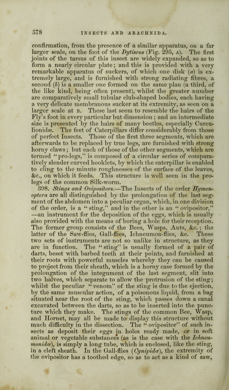 confirmation, from the presence of a similar apparatus, on a far larger scale, on the foot of the Dytiscus (Fig. 295, a). The first joints of the tarsus of this insect are widely expanded, so as to form a nearly circular plate; and this is provided with a very remarkable apparatus of suckers, of which one disk («) is ex- tremely large, and is furnished with strong radiating fibres, a second (£>) is a smaller one formed on the same plan (a third, of the like kind, being often present), whilst the greater number are comparatively small tubular club-shaped bodies, each having a very delicate membranous sucker at its extremity, as seen on a larger scale at b. These last seem to resemble the hairs of the Fly’s foot in every particular but dimension ; and an intermediate size is presented by the hairs of many beetles, especially Curcu- lionidee. The feet of Caterpillars differ considerably from those of perfect Insects. Those of the first three segments, which are afterwards to be replaced by true legs, are furnished with strong horny claws; but each of those of the other segments, which are termed “ pro-legs,” is composed of a circular series of compara- tively slender curved hooklets, by which the caterpillar is enabled to cling to the minute roughnesses of the surface of the leaves, &c., on which it feeds. This structure is well seen in the pro- legs of the common Silk-worm. 898. Stings and Ovipositors.—The Insects of the order Hymen- optera are all distinguished by the prolongation of the last seg- ment of the abdomen into a peculiar organ, which, in one division of the order, is a “ sting,” and in the other is an “ ovipositor,” —an instrument for the deposition of the eggs, which is usually also provided with the means of boring a hole for their reception. The former group consists of the Bees, Wasps, Ants, &c.; the latter of the Saw-flies, Gall-flies, Ichneumon-flies, &c. These two sets of instruments are not so unlike in structure, as they are in function. The “ sting” is usually formed of a pair of darts, beset with barbed teeth at their points, and furnished at their roots with powerful muscles whereby they can be caused to project from their sheath, which is a horny case formed by the prolongation of the integument of the last segment, slit into two halves, which separate to allow the protrusion of the sting; whilst the peculiar “venom” of the sting is due to the ejection, by the same muscular action, of a poisonous liquid, from a bag situated near the root of the sting, which passes down a canal excavated between the darts, so as to be inserted into the punc- ture which they make. The stings of the common Bee, Wasp, and Hornet, may all be made to display this structure without much difficulty in the dissection. The “ ovipositor” of such in- sects as deposit their eggs in holes ready made, or in soft animal or vegetable substances (as is the case with the Ichneu- monidoe), is simply a long tube, which is enclosed, like the sting, in a cleft sheath. In the Gall-flies (Cynipidce), the extremity of the ovipositor has a toothed edge, so as to act as a kind of saw,