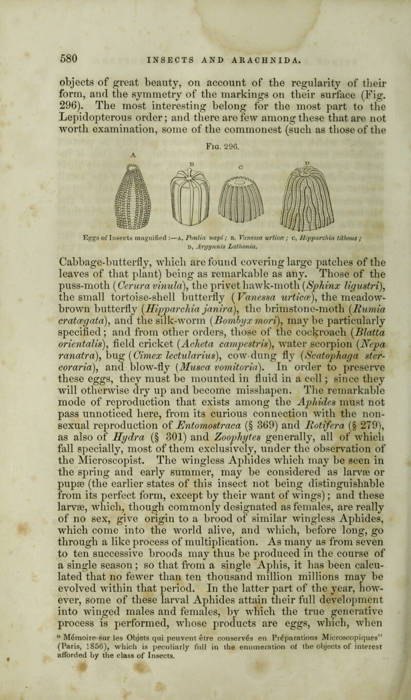 objects of great beauty, on account of the regularity of their form, and the symmetry of the markings on their surface (Fig. 296). The most interesting belong for the most part to the Lepidopterous order; and there are few among these that are not worth examination, some of the commonest (such as those of the Fig. 296. A. E^gs of Insects magnified :—a, Pontia napi; b, Vanessa urticee,; c, Hipparchia tithous ; D, Argynnis Lathonia. Cabbage-butterfly, which are found covering large patches of the leaves of that plant) being as remarkable as any. Those of the puss-moth (Cerura vinula), the privet hawk-moth (Sphinx ligustri), the small tortoise-shell butterfly (Vanessa urticce), the meadow- brown butterfly (.Hipparchia janira), the brimstone-moth (Rumia cratoegata), and the silk-worm (Bombyx mori), may be particularly specified; and from other orders, those of the cockroach (Blatta orientalis), field cricket (Acheta campestris), water scorpion (.Nepa ranatra), bug (Cimex lectularius), cow-dung fly (Scatophaga ster- coraria), and blow-fly (Musca vomitoria). In order to preserve these eggs, they must be mounted in fluid in a cell; since they will otherwise dry up and become misshapen. The remarkable mode of reproduction that exists among the Aphides must not pass unnoticed here, from its curious connection with the non- sexual reproduction of Entomostraca (§ 369) and Rotifera (§ 279), as also of Hydra (§ 301) and Zoophytes generally, all of which fall specially, most of them exclusively, under the observation of the Microscopist. The wingless Aphides which may be seen in the spring and early summer, may be considered as larvae or pupae (the earlier states of this insect not being distinguishable from its perfect form, except by their want of wings); and these larvae, which, though commonly designated as females, are really of no sex, give origin to a brood of similar wingless Aphides, which come into the world alive, and which, before long, go through a like process of multiplication. As many as from seven to ten successive broods may thus be produced in the course of a single season ; so that from a single Aphis, it has been calcu- lated that no fewer than ten thousand million millions may be evolved within that period. In the latter part of the year, how- ever, some of these larval Aphides attain their full development into winged males and females, by which the true generative process is performed, whose products are eggs, which, when “ Mdmoire-sur les Objets qui peuvent etre conserves en Preparations Microscopiques” (Paris, 1856), which is peculiarly full in the enumeration of the objects of interest afforded by the class of Insects.