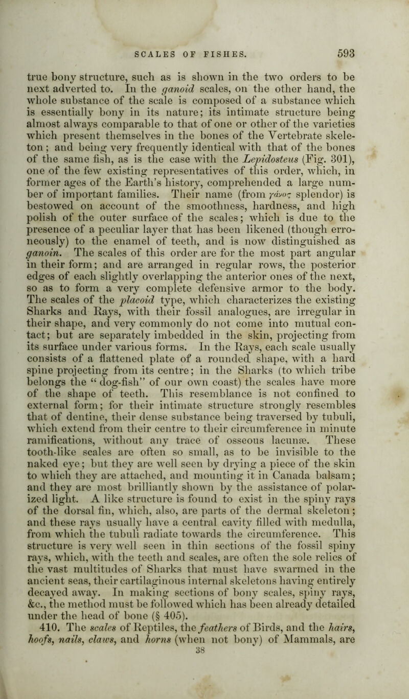 true bony structure, such as is shown in the two orders to be next adverted to. In the ganoid scales, on the other hand, the whole substance of the scale is composed of a substance which is essentially bony in its nature; its intimate structure being almost always comparable to that of one or other of the varieties which present themselves in the bones of the Vertebrate skele- ton ; and being very frequently identical with that of the bones of the same fish, as is the case with the Lepidosteus (Fig. 301), one of the few existing representatives of this order, which, in former ages of the Earth’s history, comprehended a large num- ber of important families. Their name (from yavo^ splendor) is bestowed on account of the smoothness, hardness, and high polish of the outer surface of the scales; which is due to the presence of a peculiar layer that has been likened (though erro- neously) to the enamel of teeth, and is now distinguished as ganoin. The scales of this order are for the most part angular in their form; and are arranged in regular rows, the posterior edges of each slightly overlapping the anterior ones of the next, so as to form a very complete defensive armor to the body. The scales of the plaeoid type, which characterizes the existing Sharks and Rays, with their fossil analogues, are irregular in their shape, and very commonly do not come into mutual con- tact; but are separately imbedded in the skin, projecting from its surface under various forms. In the Rays, each scale usually consists of a flattened plate of a rounded shape, with a hard spine projecting from its centre; in the Sharks (to which tribe belongs the “ dog-fish” of our own coast) the scales have more of the shape of teeth. This resemblance is not confined to external form; for their intimate structure strongly resembles that of dentine, their dense substance being traversed by tubuli, which extend from their centre to their circumference in minute ramifications, without any trace of osseous lacunae. These tooth-like scales are often so small, as to be invisible to the naked eye; but they are well seen by drying a piece of the skin to which they are attached, and mounting it in Canada balsam; and they are most brilliantly shown by the assistance of polar- ized light. A like structure is found to exist in the spiny rays of the dorsal fin, which, also, are parts of the dermal skeleton; and these rays usually have a central cavity filled with medulla, from which the tubuli radiate towards the circumference. This structure is very well seen in thin sections of the fossil spiny rays, which, with the teeth and scales, are often the sole relics of the vast multitudes of Sharks that must have swarmed in the ancient seas, their cartilaginous internal skeletons having entirely decayed away. In making sections of bony scales, spiny rays, &c., the method must be followed which has been already detailed under the head of bone (§ 405). 410. The scales of Reptiles, the feathers of Birds, and the hairs, hoofs, nails, claws, and horns (when not bony) of Mammals, are 38
