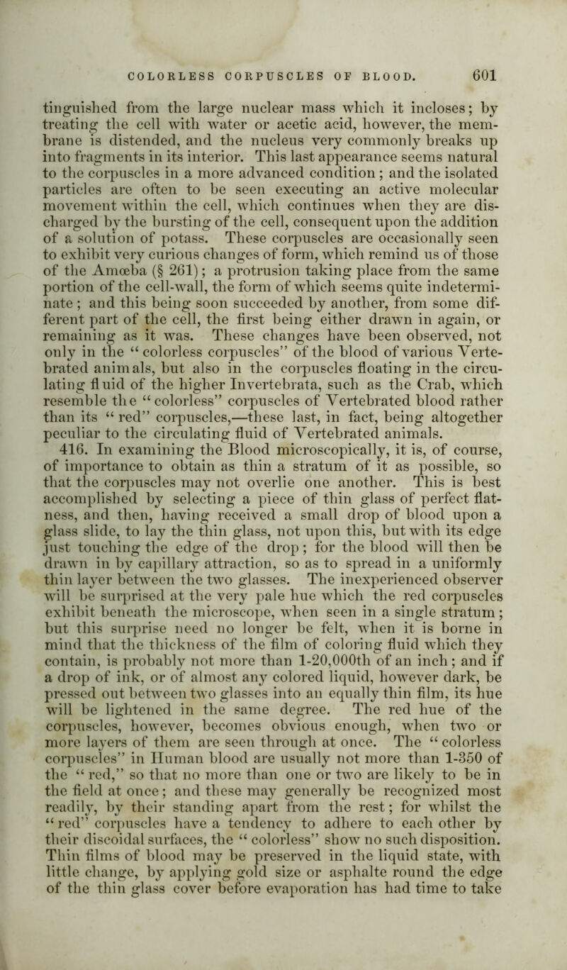 tinguished from the large nuclear mass which it incloses; by treating the cell with water or acetic acid, however, the mem- brane is distended, and the nucleus very commonly breaks up into fragments in its interior. This last appearance seems natural to the corpuscles in a more advanced condition ; and the isolated particles are often to be seen executing an active molecular movement within the cell, which continues when they are dis- charged by the bursting of the cell, consequent upon the addition of a solution of potass. These corpuscles are occasionally seen to exhibit very curious changes of form, which remind us of those of the Amoeba (§ 261); a protrusion taking place from the same portion of the cell-wall, the form of which seems quite indetermi- nate ; and this being soon succeeded by another, from some dif- ferent part of the cell, the first being either drawn in again, or remaining as it was. These changes have been observed, not only in the “ colorless corpuscles” of the blood of various Verte- brated animals, but also in the corpuscles floating in the circu- lating fluid of the higher Invertebrata, such as the Crab, which resemble the “colorless” corpuscles of Vertebrated blood rather than its “ red” corpuscles,—these last, in fact, being altogether peculiar to the circulating fluid of Vertebrated animals. 416. In examining the Blood microscopically, it is, of course, of importance to obtain as thin a stratum of it as possible, so that the corpuscles may not overlie one another. This is best accomplished by selecting a piece of thin glass of perfect flat- ness, and then, having received a small drop of blood upon a glass slide, to lay the thin glass, not upon this, but with its edge just touching the edge of the drop; for the blood will then be drawn in by capillary attraction, so as to spread in a uniformly thin layer between the two glasses. The inexperienced observer will be surprised at the very pale hue which the red corpuscles exhibit beneath the microscope, when seen in a single stratum; but this surprise need no longer be felt, when it is borne in mind that the thickness of the film of coloring fluid which they contain, is probably not more than 1-20,000th of an inch ; and if a drop of ink, or of almost any colored liquid, however dark, be pressed out between two glasses into an equally thin film, its hue wTill be lightened in the same degree. The red hue of the corpuscles, however, becomes obvious enough, when two or more layers of them are seen through at once. The “ colorless corpuscles” in Human blood are usually not more than 1-850 of the “ red,” so that no more than one or two are likely to be in the field at once; and these may generally be recognized most readily, by their standing apart from the rest; for whilst the “red” corpuscles have a tendency to adhere to each other by their discoidal surfaces, the “ colorless” show no such disposition. Thin films of blood may be preserved in the liquid state, with little change, by applying gold size or asphalte round the edge of the thin glass cover before evaporation has had time to take
