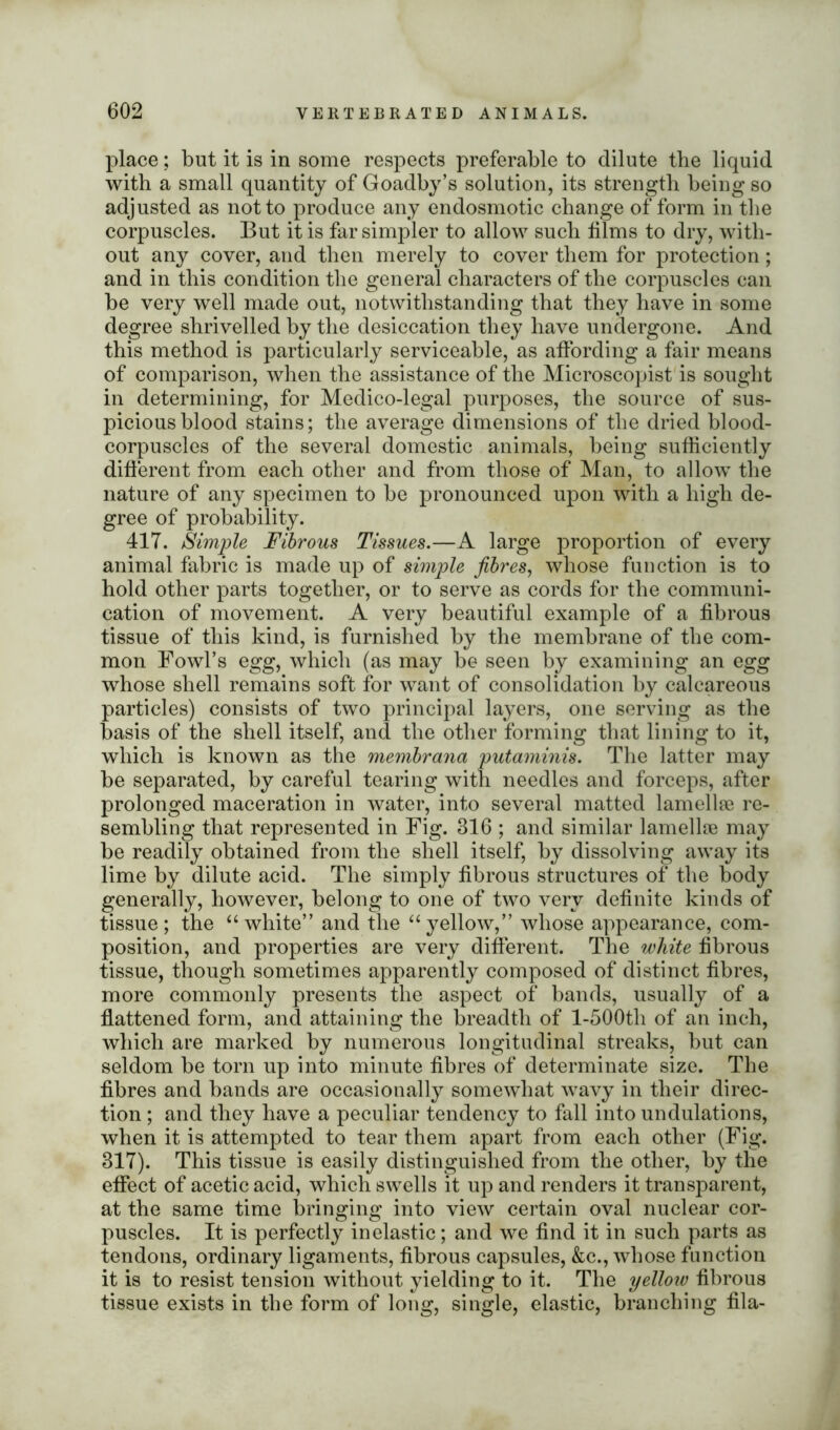 place; but it is in some respects preferable to dilute the liquid with a small quantity of Goadby’s solution, its strength being so adjusted as not to produce any endosmotic change of form in the corpuscles. But it is far simpler to allow such films to dry, with- out any cover, and then merely to cover them for protection; and in this condition the general characters of the corpuscles can be very well made out, notwithstanding that they have in some degree shrivelled by the desiccation they have undergone. And this method is particularly serviceable, as affording a fair means of comparison, when the assistance of the Microscopist is sought in determining, for Medico-legal purposes, the source of sus- picious blood stains; the average dimensions of the dried blood- corpuscles of the several domestic animals, being sufficiently different from each other and from those of Man, to allow the nature of any specimen to be pronounced upon with a high de- gree of probability. 41T. Simple Fibrous Tissues.—A large proportion of every animal fabric is made up of simple fibres, whose function is to hold other parts together, or to serve as cords for the communi- cation of movement. A very beautiful example of a fibrous tissue of this kind, is furnished by the membrane of the com- mon Fowl’s egg, which (as may be seen by examining an egg whose shell remains soft for want of consolidation by calcareous particles) consists of two principal layers, one serving as the basis of the shell itself, and the other forming that lining to it, which is known as the membrana putaminis. The latter may be separated, by careful tearing with needles and forceps, after prolonged maceration in water, into several matted lamellae re- sembling that represented in Fig. 316 ; and similar lamellae may be readily obtained from the shell itself, by dissolving away its lime by dilute acid. The simply fibrous structures of the body generally, however, belong to one of two very definite kinds of tissue; the “white” and the “yellow,” whose appearance, com- position, and properties are very different. The white fibrous tissue, though sometimes apparently composed of distinct fibres, more commonly presents the aspect of bands, usually of a flattened form, and attaining the breadth of l-500th of an inch, which are marked by numerous longitudinal streaks, but can seldom be torn up into minute fibres of determinate size. The fibres and bands are occasionally somewhat wavy in their direc- tion ; and they have a peculiar tendency to fall into undulations, when it is attempted to tear them apart from each other (Fig. 317). This tissue is easily distinguished from the other, by the effect of acetic acid, which swells it up and renders it transparent, at the same time bringing into view certain oval nuclear cor- puscles. It is perfectly inelastic; and we find it in such parts as tendons, ordinary ligaments, fibrous capsules, &c., whose function it is to resist tension without yielding to it. The yelloiv fibrous tissue exists in the form of long, single, elastic, branching fila-