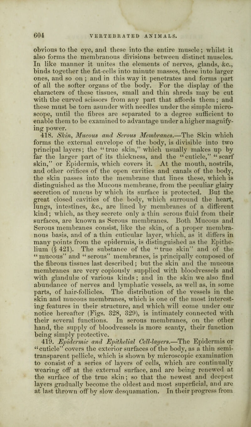 obvious to the eye, and these into the entire muscle; whilst it also forms the membranous divisions between distinct muscles. In like manner it unites the elements of nerves, glands, &c., binds together the fat-cells into minute masses, these into larger ones, and so on ; and in this way it penetrates and forms part of all the softer organs of the body. For the display of the characters of these tissues, small and thin shreds may be cut with the curved scissors from any part that affords them; and these must be torn asunder with needles under the simple micro- scope, until the fibres are separated to a degree sufficient to enable them to be examined to advantage under a higher magnify- ing power. 418. Skin, Mucous and Serous Membranes.—The Skin which forms the external envelope of the body, is divisible into two principal layers; the “true skin,” which usually makes up by far the larger part of its thickness, and the “cuticle,” “scarf skin,” or Epidermis, which covers it. At the mouth, nostrils, and other orifices of the open cavities and canals of the body, the skin passes into the membrane that lines these, which is distinguished as the Mucous membrane, from the peculiar glairy secretion of mucus by which its surface is protected. But the great closed cavities of the body, which surround the heart, lungs, intestines, &c., are lined by membranes of a different kind; which, as they secrete only a thin serous fluid from their surfaces, are known as Serous membranes. Both Mucous and Serous membranes consist, like the skin, of a proper membra- nous basis, and of a thin cuticular layer, which, as it differs in many points from the epidermis, is distinguished as the Epithe- lium (§421). The substance of the “true skin” and of the “mucous” and “serous” membranes, is principally composed of the fibrous tissues last described; but the skin and the mucous membranes are very copiously supplied with bloodvessels and with glandulse of various kinds; and in the skin we also find abundance of nerves and lymphatic vessels, as well as, in some parts, of hair-follicles. The distribution of the vessels in the skin and mucous membranes, which is one of the most interest- ing features in their structure, and which will come under our notice hereafter (Figs. 328, 329), is intimately connected with their several functions. In serous membranes, on the other hand, the supply of bloodvessels is more scanty, their function being simply protective. 419. Epidermic and Epithelial Cell-layers.—The Epidermis or “cuticle” covers the exterior surfaces of the body, as a thin semi- transparent pellicle, which is shown by microscopic examination to consist of a series of layers of cells, which are continually wearing off at the external surface, and are being renewed at the surface of the true skin; so that the newest and deepest layers gradually become the oldest and most superficial, and are at last thrown off by slow desquamation. In their progress from