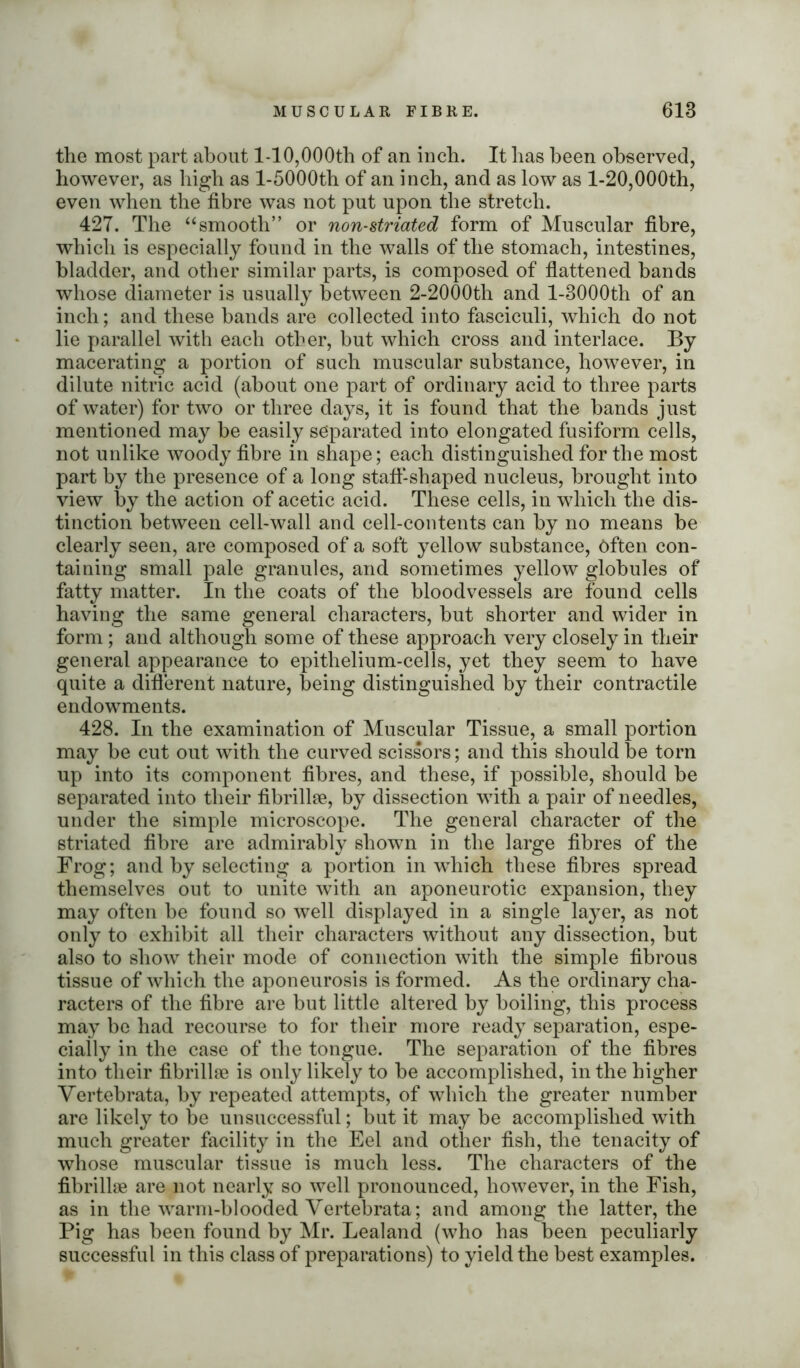 the most part about 1-10,000th of an inch. It has been observed, however, as high as l-5000th of an inch, and as low as 1-20,000th, even when the fibre was not put upon the stretch. 427. The “smooth” or non-striated form of Muscular fibre, which is especially found in the walls of the stomach, intestines, bladder, and other similar parts, is composed of flattened bands whose diameter is usually between 2-2000th and l-3000th of an inch; and these bands are collected into fasciculi, which do not lie parallel with each other, but which cross and interlace. By macerating a portion of such muscular substance, however, in dilute nitric acid (about one part of ordinary acid to three parts of water) for two or three days, it is found that the bands just mentioned may be easily separated into elongated fusiform cells, not unlike woody fibre in shape; each distinguished for the most part by the presence of a long staff-shaped nucleus, brought into view by the action of acetic acid. These cells, in which the dis- tinction between cell-wall and cell-contents can by no means be clearly seen, are composed of a soft yellow substance, Often con- taining small pale granules, and sometimes yellow globules of fatty matter. In the coats of the bloodvessels are found cells having the same general characters, but shorter and wider in form ; and although some of these approach very closely in their general appearance to epithelium-cells, yet they seem to have quite a different nature, being distinguished by their contractile endowments. 428. In the examination of Muscular Tissue, a small portion may be cut out with the curved scissors; and this should be torn up into its component fibres, and these, if possible, should be separated into their fibrillse, by dissection with a pair of needles, under the simple microscope. The general character of the striated fibre are admirably shown in the large fibres of the Frog; and by selecting a portion in which these fibres spread themselves out to unite with an aponeurotic expansion, they may often be found so well displayed in a single layer, as not only to exhibit all their characters without any dissection, but also to show their mode of connection with the simple fibrous tissue of which the aponeurosis is formed. As the ordinary cha- racters of the fibre are but little altered by boiling, this process may be had recourse to for their more ready separation, espe- cially in the case of the tongue. The separation of the fibres into their fibrillse is only likely to be accomplished, in the higher Vertebrata, by repeated attempts, of which the greater number are likely to be unsuccessful; but it may be accomplished with much greater facility in the Eel and other fish, the tenacity of whose muscular tissue is much less. The characters of the fibrillse are not nearly so well pronounced, however, in the Fish, as in the warm-blooded Vertebrata; and among the latter, the Pig has been found by Mr. Lealand (who has been peculiarly successful in this class of preparations) to yield the best examples.