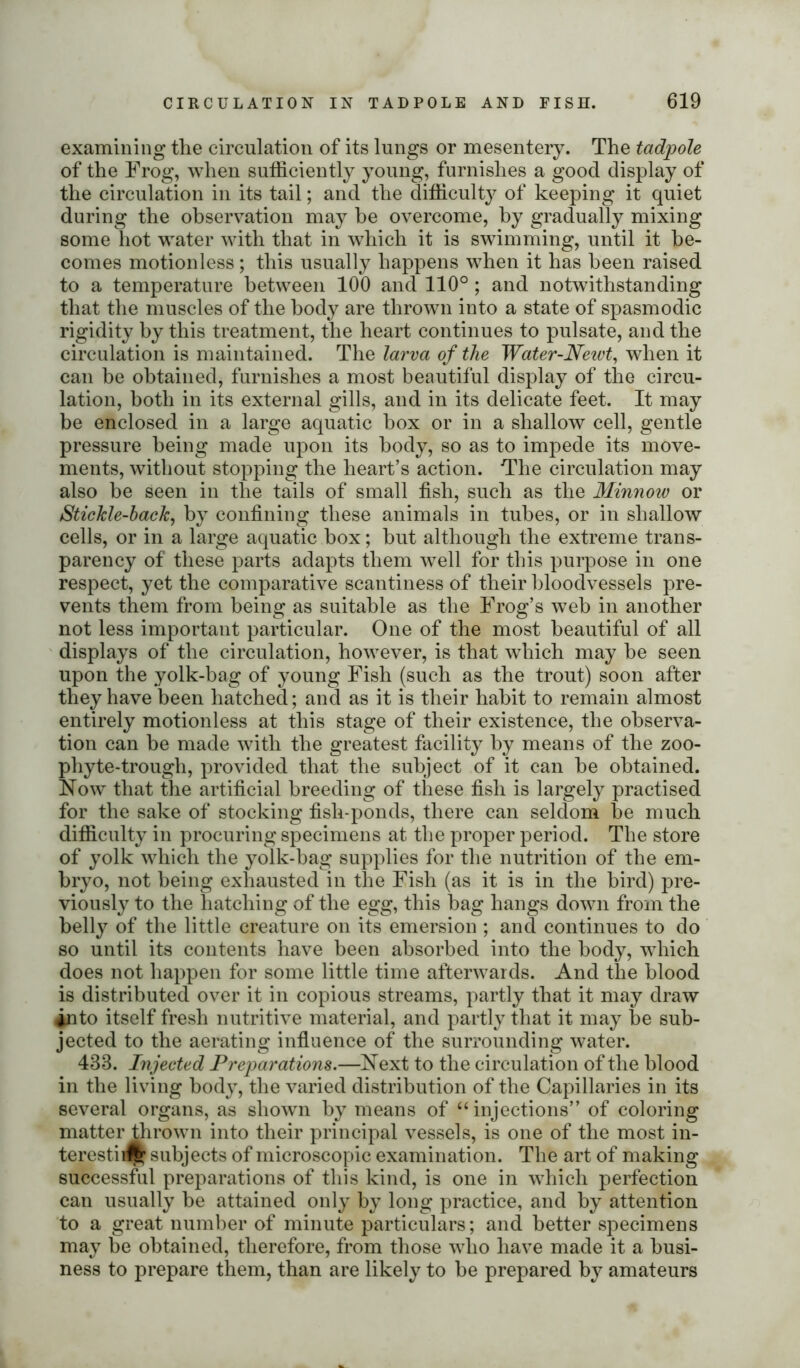 examining the circulation of its lungs or mesentery. The tadpole of the Frog, when sufficiently young, furnishes a good display of the circulation in its tail; and the difficulty of keeping it quiet during the observation may be overcome, by gradually mixing some hot water with that in which it is swimming, until it be- comes motionless; this usually happens when it has been raised to a temperature between 100 and 110° ; and notwithstanding that the muscles of the body are thrown into a state of spasmodic rigidity by this treatment, the heart continues to pulsate, and the circulation is maintained. The larva of the Water-Newt, when it can be obtained, furnishes a most beautiful display of the circu- lation, both in its external gills, and in its delicate feet. It may be enclosed in a large aquatic box or in a shallow cell, gentle pressure being made upon its body, so as to impede its move- ments, without stopping the heart’s action. The circulation may also be seen in the tails of small fish, such as the Minnow or Stickle-back, by confining these animals in tubes, or in shallow cells, or in a large aquatic box; but although the extreme trans- parency of these parts adapts them well for this purpose in one respect, yet the comparative scantiness of their bloodvessels pre- vents them from being as suitable as the Frog’s web in another not less important particular. One of the most beautiful of all displays of the circulation, however, is that which may be seen upon the yolk-bag of young Fish (such as the trout) soon after they have been hatched; and as it is their habit to remain almost entirely motionless at this stage of their existence, the observa- tion can be made with the greatest facility by means of the zoo- phyte-trough, provided that the subject of it can be obtained. Now that the artificial breeding of these fish is largely practised for the sake of stocking fish-ponds, there can seldom be much difficulty in procuring specimens at the proper period. The store of yolk which the yolk-bag supplies for the nutrition of the em- bryo, not being exhausted in the Fish (as it is in the bird) pre- viously to the hatching of the egg, this bag hangs down from the belly of the little creature on its emersion ; and continues to do so until its contents have been absorbed into the body, which does not happen for some little time afterwards. And the blood is distributed over it in copious streams, partly that it may draw into itself fresh nutritive material, and partly that it may be sub- jected to the aerating influence of the surrounding water. 433. Injected Preparations.—Next to the circulation of the blood in the living body, the varied distribution of the Capillaries in its several organs, as shown by means of “ injections” of coloring matter thrown into their principal vessels, is one of the most in- terest! Ac subjects of microscopic examination. The art of making successful preparations of this kind, is one in which perfection can usually be attained only by long practice, and by attention to a great number of minute particulars; and better specimens may be obtained, therefore, from those who have made it a busi- ness to prepare them, than are likely to be prepared by amateurs