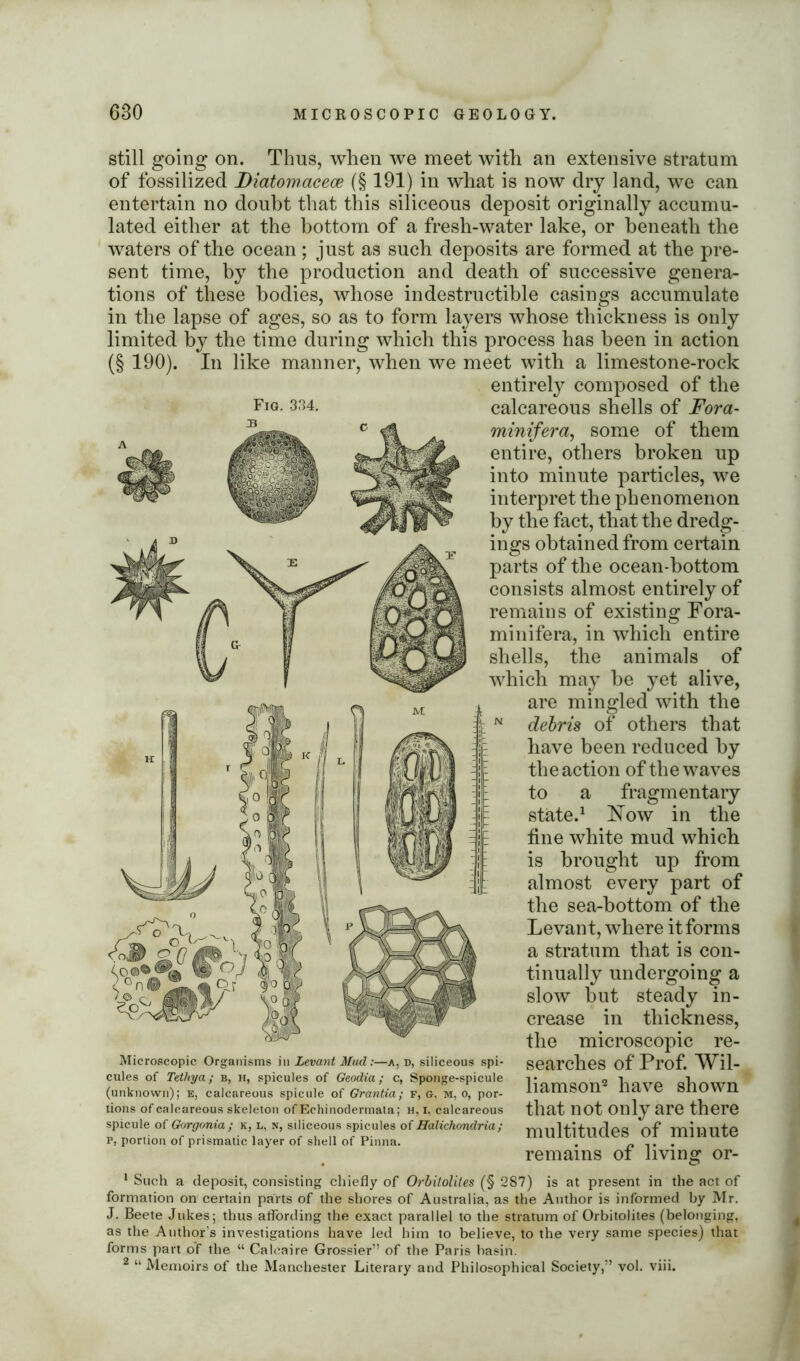 Fig. 334. still going on. Thus, when we meet with an extensive stratum of fossilized Diatomacece (§191) in what is now dry land, we can entertain no doubt that this siliceous deposit originally accumu- lated either at the bottom of a fresh-water lake, or beneath the waters of the ocean; just as such deposits are formed at the pre- sent time, by the production and death of successive genera- tions of these bodies, whose indestructible casings accumulate in the lapse of ages, so as to form layers whose thickness is only limited by the time during which this process has been in action (§ 190). In like manner, when we meet with a limestone-rock entirely composed of the calcareous shells of Fora- minifera, some of them entire, others broken up into minute particles, we interpret the phenomenon by the fact, that the dredg- ings obtained from certain parts of the ocean-bottom consists almost entirely of remains of existing Fora- minifera, in which entire shells, the animals of which may be yet alive, are mingled with the N debris of others that have been reduced by the action of the waves to a fragmentary state.1 How in the tine white mud which is brought up from almost every part of the sea-bottom of the Levant, where it forms a stratum that is con- tinually undergoing a slow but steady in- crease in thickness, the microscopic re- searches of Prof. Wil- liamson2 have shown that not only are there multitudes of minute remains of living or- Microscopic Organisms in Levant Mud:—a, d, siliceous spi- cules of Tethya; b, h, spicules of Geodia; c, Sponge-spicule (unknown); e, calcareous spicule of Grantia; f, g. m, o, por- tions of calcareous skeleton of Echinodermata; h, i, calcareous spicule of Gorgonia; k, l, n, siliceous spicules of Halichondria; P, portion of prismatic layer of shell of Pinna. 1 Such a deposit, consisting chiefly of Orbitolites (§ 287) is at present in the act of formation on certain parts of the shores of Australia, as the Author is informed by Mr. J. Beete Jukes; thus affording the exact parallel to the stratum of Orbitolites (belonging, as the Author’s investigations have led him to believe, to the very same species) that forms part of the “ Caleaire Grossier” of the Paris basin. 2 “Memoirs of the Manchester Literary and Philosophical Society,” vol. viii.