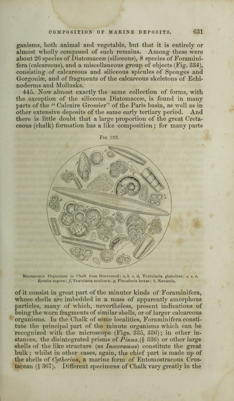 ganisms, both animal and vegetable, but that it is entirely or almost wholly composed of such remains. Among these were about 26 species of Diatomacese (siliceous), 8 species of Foramini- fera (calcareous), and a miscellaneous group of objects (Fig. 334), consisting of calcareous and siliceous spicules of Sponges and Gorgonise, and of fragments of the calcareous skeletons of Echi- noderms and Mollusks. 445. Now almost exactly the same collection of forms, with the exception of the siliceous Diatomacese, is found in many parts of the “ Calcaire Grossier” of the Paris basin, as well as in other extensive deposits of the same early tertiary period. And there is little doubt that a large proportion of the great Creta- ceous (chalk) formation has a like composition ; for many parts Fig 335. Microscopic Organisms in Chalk from Gravesend; a,b, c, d, Textularia globulosa; e, e, e, Rotalia aspera ; /.Textularia aculeaia; g, Pianularia hexas; h, Navicula. of it consist in great part of the minuter kinds of Foraminifera, whose shells are imbedded in a mass of apparently amorphous particles, many of which, nevertheless, present indications of being the worn fragments of similar shells, or of larger calcareous organisms. In the Chalk of some localities, Foraminifera consti- tute the principal part of the minute organisms which can be recognized with the microscope (Figs. 335, 336); in other in- stances, the disintegrated prisms of Pinna.(§ 336) or other large shells of the like structure (as Inoceramus) constitute the great bulk; whilst in other cases, again, the chief part is made up of the shells of Cytherina, a marine form of Entomostracous Crus- tacean (§ 367). Different specimens of Chalk vary greatly in the