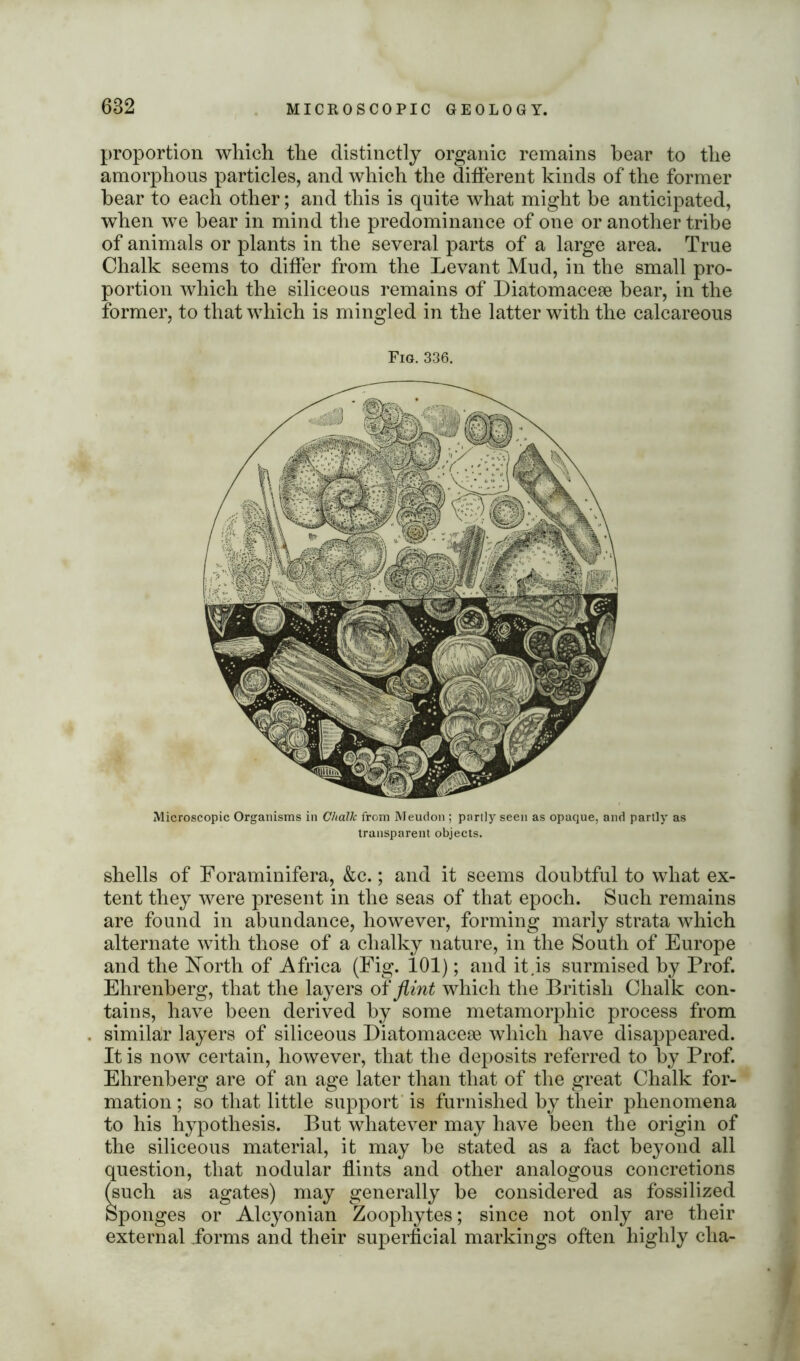 proportion which the distinctly organic remains hear to the amorphous particles, and which the different kinds of the former bear to each other; and this is quite what might be anticipated, when we bear in mind the predominance of one or another tribe of animals or plants in the several parts of a large area. True Chalk seems to differ from the Levant Mud, in the small pro- portion which the siliceous remains of Diatomacese bear, in the former, to that which is mingled in the latter with the calcareous Fig. 336. Microscopic Organisms in Chalk from Meudon ; partly seen as opaque, and partly as transparent objects. shells of Foraminifera, &c.; and it seems doubtful to what ex- tent they were present in the seas of that epoch. Such remains are found in abundance, however, forming marly strata which alternate with those of a chalky nature, in the South of Europe and the North of Africa (Fig. 101); and it,is surmised by Prof. Ehrenberg, that the layers of flint which the British Chalk con- tains, have been derived by some metamorphic process from similar layers of siliceous Diatomacese which have disappeared. It is now certain, however, that the deposits referred to by Prof. Ehrenberg are of an age later than that of the great Chalk for- mation ; so that little support is furnished by their phenomena to his hypothesis. But whatever may have been the origin of the siliceous material, it may be stated as a fact beyond all question, that nodular flints and other analogous concretions (such as agates) may generally be considered as fossilized Sponges or Alcyonian Zoophytes; since not only are their external forms and their superficial markings often highly cha-