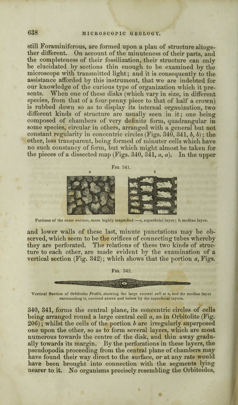 still Foraminiferous, are formed upon a plan of structure altoge- ther different. On account of the minuteness of their parts, and the completeness of their fossilization, their structure can only be elucidated by sections thin enough to be examined by the microscope with transmitted light; and it is consequently to the assistance afforded by this instrument, that we are indebted for our knowledge of the curious type of organization which it pre- sents. When one of these disks (which vary in size, in different species, from that of a four-penny piece to that of half a crown) is rubbed down so as to display its internal organization, two different kinds of structure are usually seen in it; one being composed of chambers of very definite form, quadrangular in some species, circular in others, arranged with a general but not constant regularity in concentric circles (Figs. 340, 341, b, b); the other, less transparent, being formed of minuter cells which have no such constancy of form, but which might almost be taken for the pieces of a dissected map (Figs. 340, 341, a, a). In the upper Fig. 341. a b Portions of the same section, more highly magnified:—a, superficial layer; b, median layer. and lower walls of these last, minute punctations may be ob- served, which seem to be the orifices of connecting tubes whereby they are perforated. The relations of these two kinds of struc- ture to each other, are made evident by the examination of a vertical section (Fig. 342); which shows that the portion a, Figs. Fig. 342. Vertical Section of Orbitoides Prattii, showing the large central cell at a, and the median layer surrounding it, covered above and below by the superficial layers. 340, 341, forms the central plane, its concentric circles of cells being arranged round a large central cell a, as in Orbitolite (Fig. 206); whilst the cells of the portion b are irregularly superposed one upon the other, so as to form several layers, which are most numerous towards the centre of the disk, and thin away gradu- ally towards its margin. By the perforations in these layers, the pseudopodia proceeding from the central plane of chambers may have found their way direct to the surface, or at any rate would have been brought into connection with the segments lying nearer to it. JSTo organisms precisely resembling the Orbitoides,