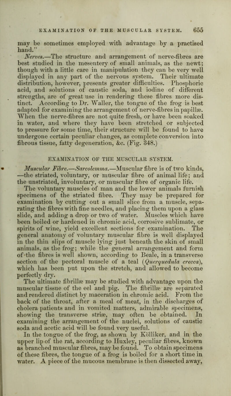 may be sometimes employed with advantage by a practised hand.” Nerves.—The structure and arrangement of nerve-fibres are best studied in the mesentery of small animals, as the newt; though with a little care in manipulation they can be very well displayed in any part of the nervous system. Their ultimate distribution, however, presents greater difficulties. Phosphoric acid, and solutions of caustic soda, and iodine of different strengths, are of great use in rendering these fibres more dis- tinct. According to Dr. Waller, the tongue of the frog is best adapted for examining the arrangement of nerve-fibres in papillae. When the nerve-fibres are not quite fresh, or have been soaked in water, and where they have been stretched or subjected to pressure for some time, their structure will be found to have undergone certain peculiar changes, as complete conversion into fibrous tissue, fatty degeneration, &c. (Fig. 348.) EXAMINATION OF THE MUSCULAR SYSTEM. Muscular Fibre.—Sarcolemma.—Muscular fibre is of two kinds, —the striated, voluntary, or muscular fibre of animal life; and the unstriated, involuntary, or muscular fibre of organic life. The voluntary muscles of man and the lower animals furnish specimens of the striated fibre. They may be prepared for examination by cutting out a small slice from a muscle, sepa- rating the fibres with fine needles, and placing them upon a glass slide, and adding a drop or two of water. Muscles which have been boiled or hardened in chromic acid, corrosive sublimate, or spirits of wine, yield excellent sections for examination. The general anatomy of voluntary muscular fibre is well displayed in the thin slips of muscle lying just beneath the skin of small animals, as the frog; while the general arrangement and form of the fibres is well shown, according to Beale, in a transverse section of the pectoral muscle of a teal (Querquedula crecca), which has been put upon the stretch, and allowed to become perfectly diy. The ultimate fibrillae may be studied with advantage upon the muscular tissue of the eel and pig. The fibrillse are separated and rendered distinct by maceration in chromic acid. From the back of the throat, after a meal of meat, in the discharges of cholera patients and in vomited matters, admirable specimens, showing the transverse striae, may often be obtained. In examining the arrangement of the nuclei, solutions of caustic soda and acetic acid will be found very useful. In the tongue of the frog, as shown by Kolliker, and in the upper lip of the rat, according to Huxley, peculiar fibres, known as branched muscular fibres, may be found. To obtain specimens of these fibres, the tongue of a frog is boiled for a short time in water. A piece of the mucous membrane is then dissected away,