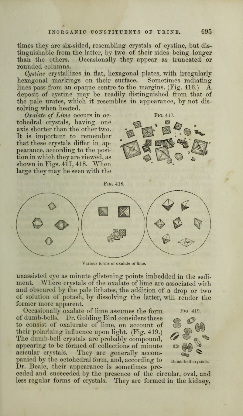 times they are six-sided, resembling crystals of cystine, but dis- tinguishable from the latter, by two of their sides being longer than the others. Occasionally they appear as truncated or rounded columns. Cystine crystallizes in flat, hexagonal plates, with irregularly hexagonal markings on their surface. Sometimes radiating lines pass from an opaque centre to the margins. (Fig. 416.) A deposit of cystine may be readily distinguished from that of the pale urates, which it resembles in appearance, by not dis- solving when heated. Oxalate of Lime occurs in oc- tahedral crystals, having one axis shorter than the other two. It is important to remember that these crystals differ in ap- pearance, according to the posi- tion in which they are viewed, as shown in Figs. 417, 418. When large they may be seen wTith the Fig. 417. Fig. 418. Various forms of oxalate of lime. unassisted eye as minute glistening points imbedded in the sedi- ment. Where crystals of the oxalate of lime are associated with and obscured by the pale lithates, the addition of a drop or two of solution of potash, by dissolving the latter, will render the former more apparent. Occasionally oxalate of lime assumes the form of dumb-bells. Dr. Golding Bird considers these to consist of oxalurate of lime, on account of their polarizing influence upon light. (Fig. 419.) The dumb-bell crystals are probably compound, appearing to be formed of collections of minute acicular crystals. They are generally accom- panied by the octahedral form, and, according to Dr. Beale, their appearance is sometimes pre- ceded and succeeded by the presence of the circular, oval, and less regular forms of crystals. They are formed in the kidney, Fig. 419. Dumb-bell crystals.