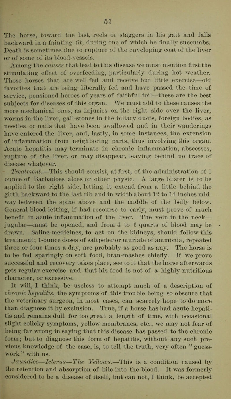 The horse, toward the last, reels or staggers in his gait and falls backward in a fainting fit, during one of which he finally succumbs. Death is sometimes due to rupture of the enveloping coat of the liver or of some of its blood-vessels. Among the causes that lead to this disease we must mention first the stimulating effect of overfeeding, particularly during hot weather. Those horses that are well fed and receive but little exercise—old favorites that are being liberally fed and have passed the time of service, pensioned heroes of years of faithful toil—these are the best subjects for diseases of this organ. We must add to these causes the more mechanical ones, as injuries on the right side over the liver, worms in the liver, gall-stones in the biliary ducts, foreign bodies, as needles or nails that have been swallowed and in their wanderings have entered the liver, and, lastly, in some instances, the extension of inflammation from neighboring parts, thus involving this organ. Acute hepatitis may terminate in chronic inflammation, abscesses, rupture of the liver, or may disappear, leaving behind no trace of disease whatever. Treatment.—This should consist, at first, of the administration of 1 ounce of Barbadoes aloes or other physic. A large blister is to be applied to the right side, letting it extend from a little behind the girth backward to the last rib and in width about 12 to 14 inches mid- way between the spine above and the middle of the belly below. General blood-letting, if had recourse to early, must prove of much benefit in acute inflammation of the liver. The vein in the neck— jugular—must be opened, and from 4 to 6 quarts of blood may be drawn. Saline medicines, to act on the kidneys, should follow this treatment; 1-ounce doses of saltpeter or muriate of ammonia, repeated three or four times a day, are probably as good as any. The horse is to be fed sparingly on soft food, bran-mashes chiefly. If we prove successful and recovery takes place, see to it that the horse afterwards gets regular exercise and that his food is not of a highly nutritious character, or excessive. It will, I think, be useless to attempt much of a description of chronic hepatitis, the sj^mptoms of this trouble being so obscure that the veterinary surgeon, in most cases, can scarcely hope to do more than diagnose it by exclusion. True, if a horse has had acute hepati- tis and remains dull for too great a length of time, with occasional slight colicky symptoms, yellow membranes, etc., we may not fear of being far wrong in saying that this disease has passed to the chronic form; but to diagnose this form of hepatitis, without any such pre- vious knowledge of the case, is, to tell the truth, very often “ guess- work ” with us. Jaundice—Icterus—The Yellows.—This is a condition caused by the retention and absorption of bile into the blood. It was formerly considered to be a disease of itself, but can not, I think, be accepted