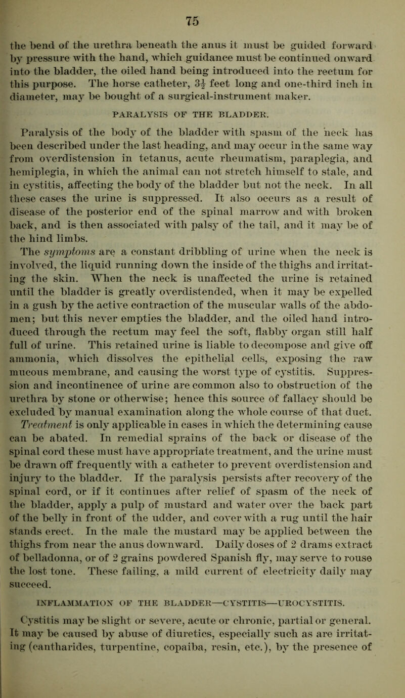 the bend of the urethra beneath the anus it must be guided forward by pressure with the hand, which guidance must be continued onward into the bladder, the oiled hand being introduced into the rectum for this purpose. The horse catheter, feet long and one-third inch in diameter, may be bought of a surgical-instrument maker. PARALYSIS OF THE BLADDER. Paralysis of the body of the bladder with spasm of the ‘neck has been described under the last heading, and may occur in the same way from overdistension in tetanus, acute rheumatism, paraplegia, and hemiplegia, in which the animal can not stretch himself to stale, and in cystitis, affecting the body of the bladder but not the neck. In all these cases the urine is suppressed. It also occurs as a result of disease of the posterior end of the spinal marrow and with broken back, and is then associated with palsy of the tail, and it may be of the hind limbs. The symptoms are a constant dribbling of urine when the neck is involved, the liquid running down the inside of the thighs and irritat- ing the skin. When the neck is unaffected the urine is retained until the bladder is greatly overdistended, when it may be expelled in a gush by the active contraction of the muscular walls of the abdo- men; but this never empties the bladder, and the oiled hand intro- duced through the rectum may feel the soft, flabby organ still half full of urine. This retained urine is liable to decompose and give off ammonia, which dissolves the epithelial cells, exposing the raw mucous membrane, and causing the worst type of cystitis. Suppres- sion and incontinence of urine are common also to obstruction of the urethra by stone or otherwise; hence this source of fallacy should be excluded by manual examination along the whole course of that duct. Treatment is only applicable in cases in which the determining cause can be abated. In remedial sprains of the back or disease of the spinal cord these must have appropriate treatment, and the urine must be drawn off frequently with a catheter to prevent overdistension and injury to the bladder. If the paralysis persists after recovery of the spinal cord, or if it continues after relief of spasm of the neck of the bladder, apply a pulp of mustard and water over the back part of the belly in front of the udder, and cover with a rug until the hair stands erect. In the male the mustard may be applied between the thighs from near the anus downward. Daily doses of 2 drams extract of belladonna, or of 2 grains powdered Spanish fly, may serve to rouse the lost tone. These failing, a mild current of electricity daily may succeed. INFLAMMATION OF THE BLADDER—CYSTITIS—UROCYSTITIS. Cystitis may be slight or severe, acute or chronic, partial or general. It may be caused by abuse of diuretics, especially such as are irritat- ing (cantharides, turpentine, copaiba, resin, etc.), by the presence of