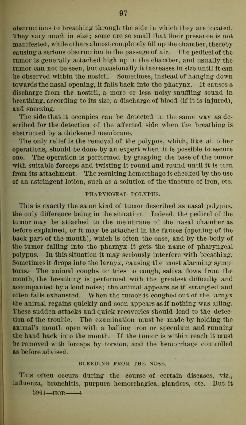 obstructions to breathing through the side in which they are located. They vary much in size; some are so small that their presence is not manifested, while others almost completely fill up the chamber, thereby causing a serious obstruction to the passage of air. The pedicel of the tumor is generally attached high up in the chamber, and usually the tumor can not be seen, but occasionally it increases in size until it can be observed within the nostril. Sometimes, instead of hanging down towards the nasal opening, it falls back into the pharynx. It causes a discharge from the nostril, a more or less noisy snuffling sound in breathing, according to its size, a discharge of blood (if it is injured), and sneezing. The side that it occupies can be detected in the same way as de- scribed for the detection of the affected side when the breathing is obstructed by a thickened membrane. The only relief is the removal of the polypus, which, like all other operations, should be done by an expert when it is possible to secure one. The operation is performed by grasping the base of the tumor with suitable forceps and twisting it round and round until it is torn from its attachment. The resulting hemorrhage is checked by the use of an astringent lotion, such as a solution of the tincture of iron, etc. PHARYNGEAL POLYPUS. This is exactly the same kind of tumor described as nasal polypus, the only difference being in the situation. Indeed, the pedicel of the tumor may be attached to the membrane of the nasal chamber as before explained, or it may be attached in the fauces (opening of the back part of the mouth), which is often the case, and by the body of the tumor falling into the pharnyx it gets the name of pharyngeal polypus. In this situation it may seriously interfere with breathing. Sometimes it drops into the larnyx, causing the most alarming symp- toms. The animal coughs or tries to cough, saliva flows from the mouth, the breathing is performed with the greatest difficulty and accompanied by a loud noise; the animal appears as if strangled and often falls exhausted. When the tumor is coughed out of the larnyx the animal regains quickly and soon appears as if nothing was ailing. These sudden attacks and quick recoveries should lead to the detec- tion of the trouble. The examination must be made by holding the animal’s mouth open with a balling iron or speculum and running the hand back into the mouth. If the tumor is within reach it must be removed with forceps by torsion, and the hemorrhage controlled as before advised. BLEEDING FROM THE NOSE. This often occurs during the course of certain diseases, viz., influenza, bronchitis, purpura hemorrhagica, glanders, etc. But it 5961—hor 4
