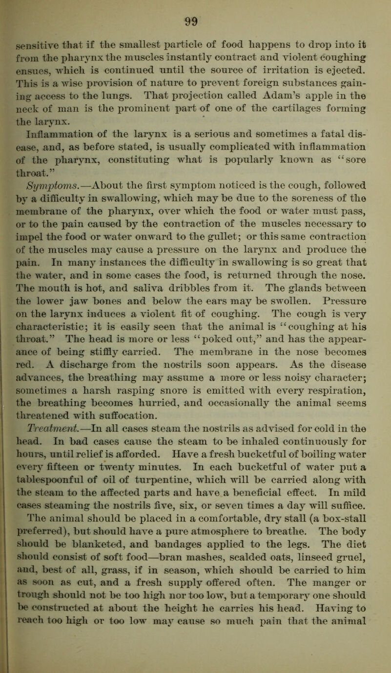 sensitive that if the smallest particle of food happens to drop into it from the pharynx the muscles instantly contract and violent coughing ensues, which is continued until the source of irritation is ejected. This is a wise provision of nature to prevent foreign substances gain- ing access to the lungs. That projection called Adam’s apple in the neck of man is the prominent part of one of the cartilages forming the larynx. Inflammation of the larynx is a serious and sometimes a fatal dis- ease, and, as before stated, is usually complicated with inflammation of the pharynx, constituting what is popularly known as “sore throat.” Symptoms.—About the first symptom noticed is the cough, followed by a difficulty in swallowing, which may be due to the soreness of the membrane of the pharynx, over which the food or water must pass, or to the pain caused by the contraction of the muscles necessary to impel the food or water onward to the gullet; or this same contraction of the muscles may cause a pressure on the larynx and produce the pain. In many instances the difficulty in swallowing is so great that the water, and in some cases the food, is returned through the nose. The mouth is hot, and saliva dribbles from it. The glands between the lower jaw bones and below the ears may be swollen. Pressure on the larynx induces a violent fit of coughing. The cough is very characteristic; it is easily seen that the animal is £ ‘ coughing at his throat.” The head is more or less “poked out,” and has the appear- ance of being stiffly carried. The membrane in the nose becomes red. A discharge from the nostrils soon appears. As the disease advances, the breathing may assume a more or less noisy character; sometimes a harsh rasping snore is emitted with every respiration, the breathing becomes hurried, and occasionally the animal seems threatened with suffocation. Treatment.—In all cases steam the nostrils as advised for cold in the head. In bad cases cause the steam to be inhaled continuously for hours, until relief is afforded. Have a fresh bucketful of boiling water every fifteen or twenty minutes. In each bucketful of water put a tablespoonful of oil of turpentine, which will be carried along with the steam to the affected parts and have a beneficial effect. In mild cases steaming the nostrils five, six, or seven times a day will suffice. The animal should be placed in a comfortable, dry stall (a box-stall preferred), but should have a pure atmosphere to breathe. The body should be blanketed, and bandages applied to the legs. The diet should consist of soft food—bran mashes, scalded oats, linseed gruel, and, best of all, grass, if in season, which should be carried to him as soon as cut, and a fresh supply offered often. The manger or trough should not be too high nor too low, but a temporary one should be constructed at about the height he carries his head. Having to reach too high or too low may cause so much pain that the animal