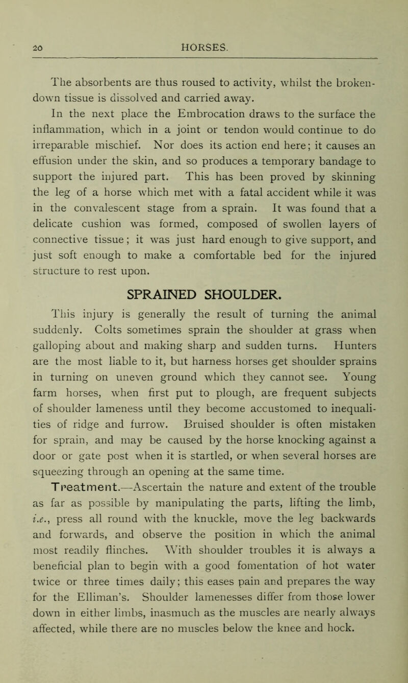 The absorbents are thus roused to activity, whilst the broken- down tissue is dissolved and carried away. In the next place the Embrocation draws to the surface the inflammation, which in a joint or tendon would continue to do irreparable mischief. Nor does its action end here; it causes an effusion under the skin, and so produces a temporary bandage to support the injured part. This has been proved by skinning the leg of a horse which met with a fatal accident while it was in the convalescent stage from a sprain. It was found that a delicate cushion was formed, composed of swollen layers of connective tissue; it was just hard enough to give support, and just soft enough to make a comfortable bed for the injured structure to rest upon. SPRAINED SHOULDER. This injury is generally the result of turning the animal suddenly. Colts sometimes sprain the shoulder at grass when galloping about and making sharp and sudden turns. Hunters are the most liable to it, but harness horses get shoulder sprains in turning on uneven ground which they cannot see. Young farm horses, when first put to plough, are frequent subjects of shoulder lameness until they become accustomed to inequali- ties of ridge and furrow. Bruised shoulder is often mistaken for sprain, and may be caused by the horse knocking against a door or gate post when it is startled, or when several horses are squeezing through an opening at the same time. Treat merit.—Ascertain the nature and extent of the trouble as far as possible by manipulating the parts, lifting the limb, i.e., press all round with the knuckle, move the leg backwards and forwards, and observe the position in which the animal most readily flinches. With shoulder troubles it is always a beneficial plan to begin with a good fomentation of hot water twice or three times daily; this eases pain and prepares the way for the Elliman’s. Shoulder lamenesses differ from those lower down in either limbs, inasmuch as the muscles are nearly always affected, while there are no muscles below the knee and hock.