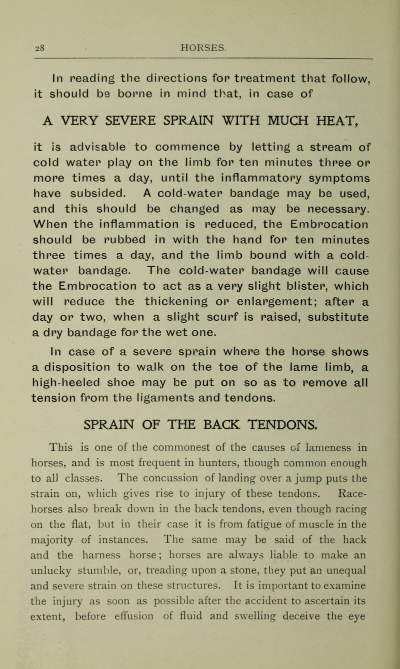 In reading the directions for treatment that follow, it should be borne in mind that, in case of A VERY SEVERE SPRAIN WITH MUCH HEAT, it is advisable to commence by letting a stream of cold water play on the limb for ten minutes three or more times a day, until the inflammatory symptoms have subsided. A cold-water bandage may be used, and this should be changed as may be necessary. When the inflammation is reduced, the Embrocation should be rubbed in with the hand for ten minutes three times a day, and the limb bound with a cold- water bandage. The cold-water bandage will cause the Embrocation to act as a very slight blister, which will reduce the thickening or enlargement; after a day or two, when a slight scurf is raised, substitute a dry bandage for the wet one. In case of a severe sprain where the horse shows a disposition to walk on the toe of the lame limb, a high-heeled shoe may be put on so as to remove all tension from the ligaments and tendons. SPRAIN OF THE BACK TENDONS. This is one of the commonest of the causes of lameness in horses, and is most frequent in hunters, though common enough to all classes. The concussion of landing over a jump puts the strain on, which gives rise to injury of these tendons. Race- horses also break down in the back tendons, even though racing on the flat, but in their case it is from fatigue of muscle in the majority of instances. The same may be said of the hack and the harness horse; horses are always liable to make an unlucky stumble, or, treading upon a stone, they put an unequal and severe strain on these structures. It is important to examine the injury as soon as possible after the accident to ascertain its extent, before effusion of fluid and swelling deceive the eye