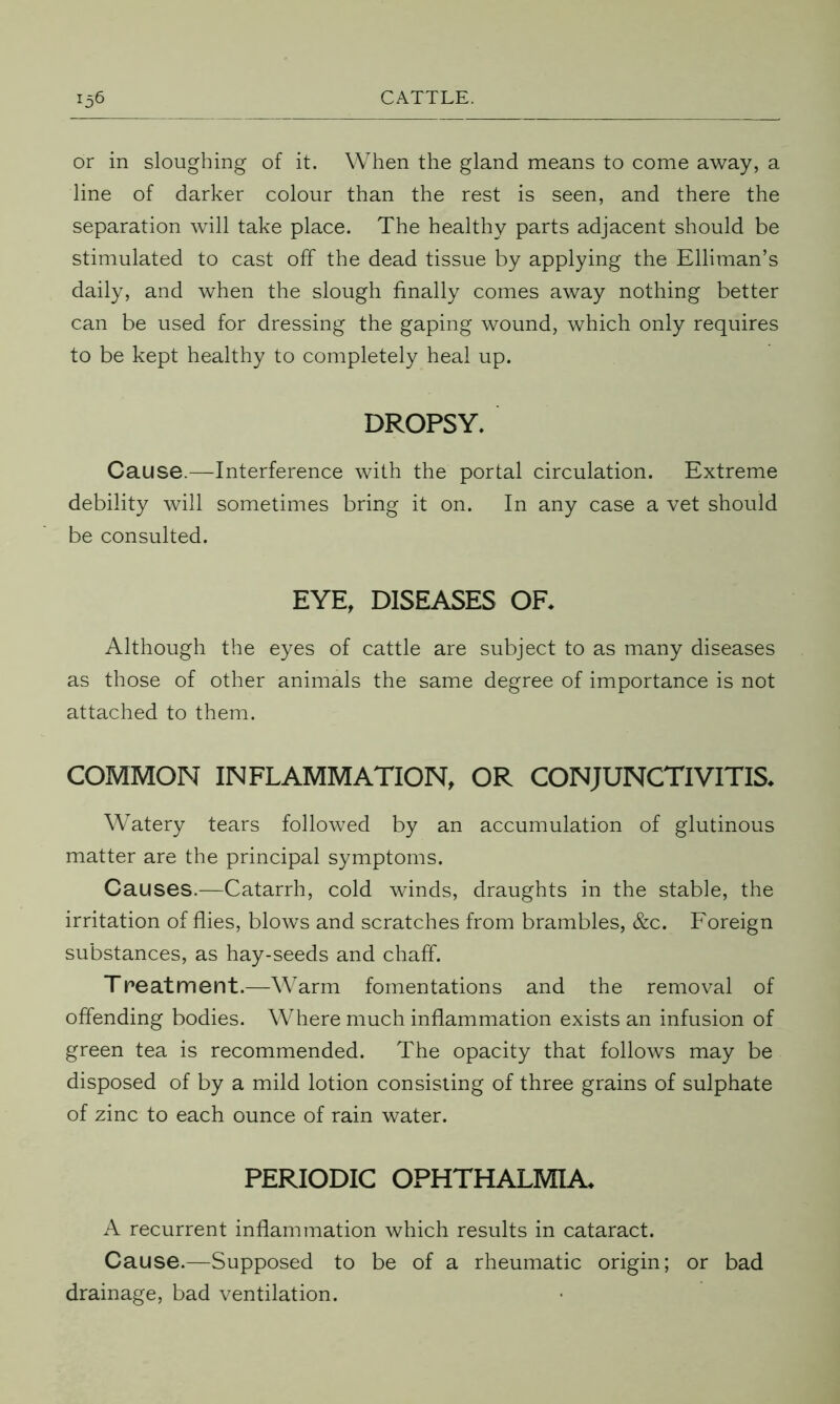 or in sloughing of it. When the gland means to come away, a line of darker colour than the rest is seen, and there the separation will take place. The healthy parts adjacent should be stimulated to cast off the dead tissue by applying the Elliman’s daily, and when the slough finally comes away nothing better can be used for dressing the gaping wound, which only requires to be kept healthy to completely heal up. DROPSY. Cause.—Interference with the portal circulation. Extreme debility will sometimes bring it on. In any case a vet should be consulted. EYE, DISEASES OF. Although the eyes of cattle are subject to as many diseases as those of other animals the same degree of importance is not attached to them. COMMON INFLAMMATION, OR CONJUNCTIVITIS. Watery tears followed by an accumulation of glutinous matter are the principal symptoms. Causes.—Catarrh, cold winds, draughts in the stable, the irritation of flies, blows and scratches from brambles, &c. Foreign substances, as hay-seeds and chaff. T peat merit.—Warm fomentations and the removal of offending bodies. Where much inflammation exists an infusion of green tea is recommended. The opacity that follows may be disposed of by a mild lotion consisting of three grains of sulphate of zinc to each ounce of rain water. PERIODIC OPHTHALMIA. A recurrent inflammation which results in cataract. Cause.—Supposed to be of a rheumatic origin; or bad drainage, bad ventilation.