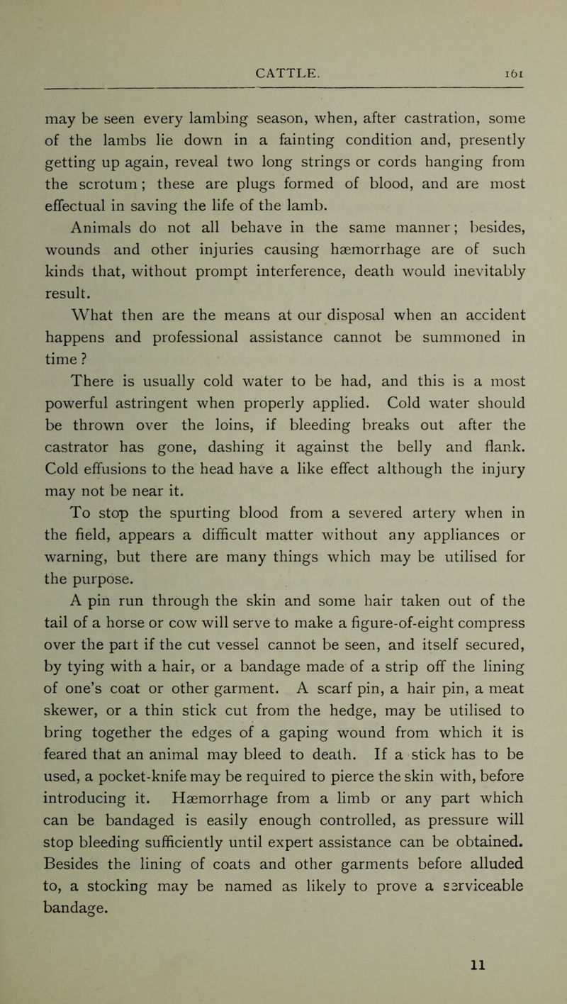 may be seen every lambing season, when, after castration, some of the lambs lie down in a fainting condition and, presently getting up again, reveal two long strings or cords hanging from the scrotum; these are plugs formed of blood, and are most effectual in saving the life of the lamb. Animals do not all behave in the same manner; besides, wounds and other injuries causing haemorrhage are of such kinds that, without prompt interference, death would inevitably result. What then are the means at our disposal when an accident happens and professional assistance cannot be summoned in time ? There is usually cold water to be had, and this is a most powerful astringent when properly applied. Cold water should be thrown over the loins, if bleeding breaks out after the castrator has gone, dashing it against the belly and flank. Cold effusions to the head have a like effect although the injury may not be near it. To stop the spurting blood from a severed artery when in the field, appears a difficult matter without any appliances or warning, but there are many things which may be utilised for the purpose. A pin run through the skin and some hair taken out of the tail of a horse or cow will serve to make a figure-of-eight compress over the part if the cut vessel cannot be seen, and itself secured, by tying with a hair, or a bandage made of a strip off the lining of one’s coat or other garment. A scarf pin, a hair pin, a meat skewer, or a thin stick cut from the hedge, may be utilised to bring together the edges of a gaping wound from which it is feared that an animal may bleed to death. If a stick has to be used, a pocket-knife may be required to pierce the skin with, before introducing it. Haemorrhage from a limb or any part which can be bandaged is easily enough controlled, as pressure will stop bleeding sufficiently until expert assistance can be obtained. Besides the lining of coats and other garments before alluded to, a stocking may be named as likely to prove a serviceable bandage. 11