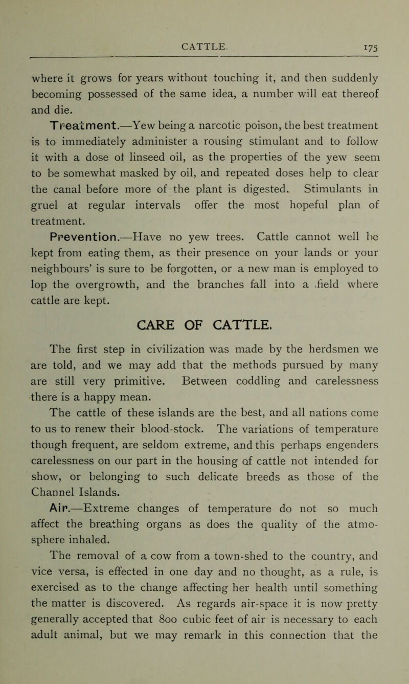 where it grows for years without touching it, and then suddenly becoming possessed of the same idea, a number will eat thereof and die. Tpeat merit.-—Yew being a narcotic poison, the best treatment is to immediately administer a rousing stimulant and to follow it with a dose ot linseed oil, as the properties of the yew seem to be somewhat masked by oil, and repeated doses help to clear the canal before more of the plant is digested. Stimulants in gruel at regular intervals offer the most hopeful plan of treatment. Prevention.—Have no yew trees. Cattle cannot well be kept from eating them, as their presence on your lands or your neighbours’ is sure to be forgotten, or a new man is employed to lop the overgrowth, and the branches fall into a -field where cattle are kept. CARE OF CATTLE, The first step in civilization was made by the herdsmen we are told, and we may add that the methods pursued by many are still very primitive. Between coddling and carelessness there is a happy mean. The cattle of these islands are the best, and all nations come to us to renew their blood-stock. The variations of temperature though frequent, are seldom extreme, and this perhaps engenders carelessness on our part in the housing of cattle not intended for show, or belonging to such delicate breeds as those of the Channel Islands. Air.—Extreme changes of temperature do not so much affect the breathing organs as does the quality of the atmo- sphere inhaled. The removal of a cow from a town-shed to the country, and vice versa, is effected in one day and no thought, as a rule, is exercised as to the change affecting her health until something the matter is discovered. As regards air-space it is now pretty generally accepted that 800 cubic feet of air is necessary to each adult animal, but we may remark in this connection that the