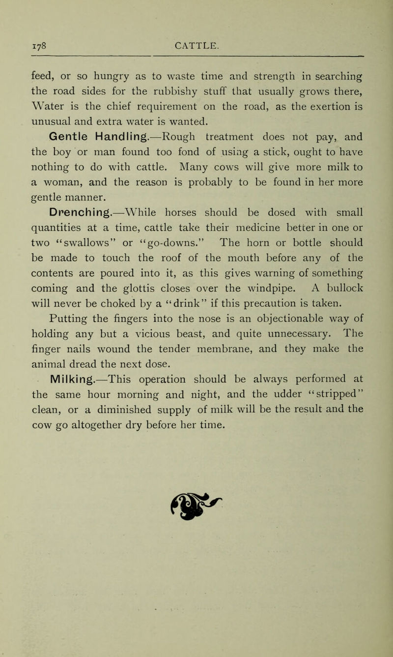 feed, or so hungry as to waste time and strength in searching the road sides for the rubbishy stuff that usually grows there, Water is the chief requirement on the road, as the exertion is unusual and extra water is wanted. Gentle Handling.—Rough treatment does not pay, and the boy or man found too fond of using a stick, ought to have nothing to do with cattle. Many cows will give more milk to a woman, and the reason is probably to be found in her more gentle manner. Drenching.—While horses should be dosed with small quantities at a time, cattle take their medicine better in one or two “swallows” or “go-downs.” The horn or bottle should be made to touch the roof of the mouth before any of the contents are poured into it, as this gives warning of something coming and the glottis closes over the windpipe. A bullock will never be choked by a “drink” if this precaution is taken. Putting the fingers into the nose is an objectionable way of holding any but a vicious beast, and quite unnecessary. The finger nails wound the tender membrane, and they make the animal dread the next dose. Milking.—This operation should be always performed at the same hour morning and night, and the udder “stripped” clean, or a diminished supply of milk will be the result and the cow go altogether dry before her time.