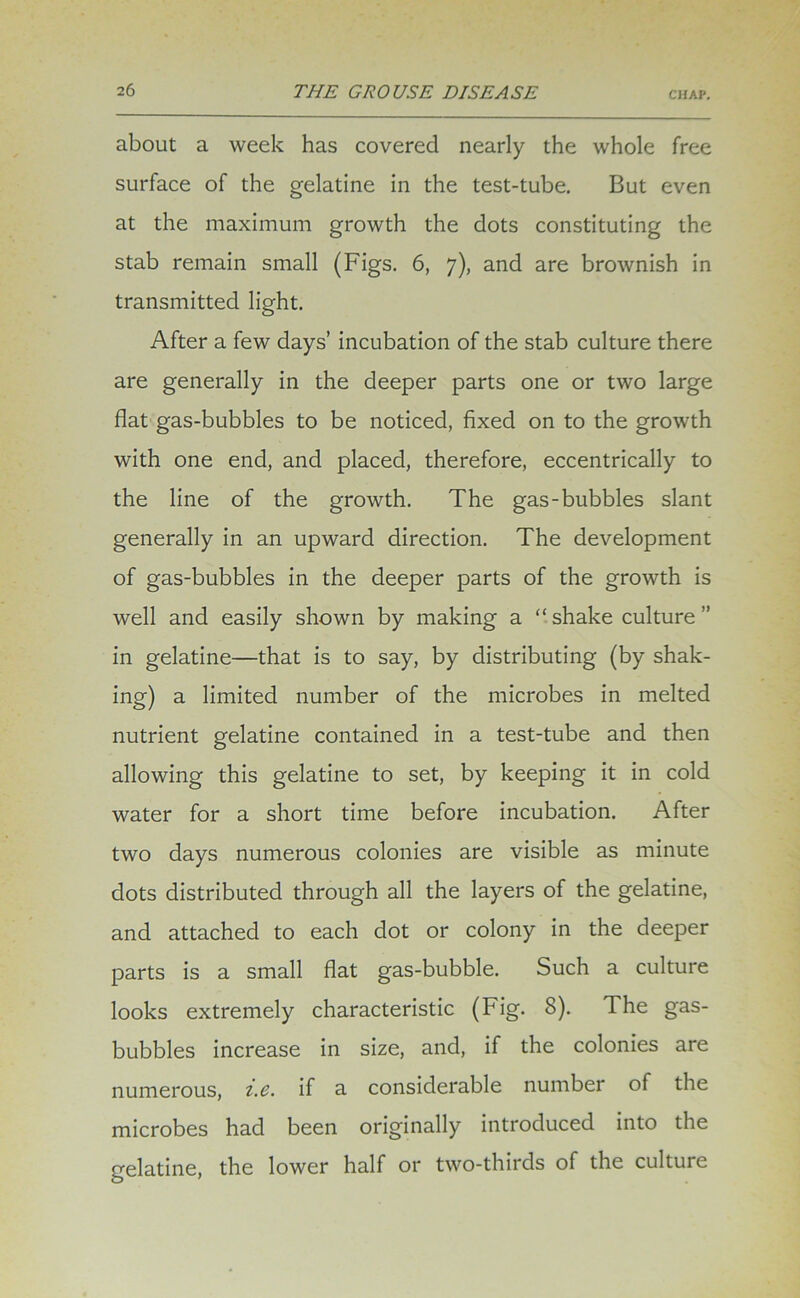 about a week has covered nearly the whole free surface of the gelatine in the test-tube. But even at the maximum growth the dots constituting the stab remain small (Figs. 6, 7), and are brownish in transmitted light. After a few days’ incubation of the stab culture there are generally in the deeper parts one or two large flat gas-bubbles to be noticed, fixed on to the growth with one end, and placed, therefore, eccentrically to the line of the growth. The gas-bubbles slant generally in an upward direction. The development of gas-bubbles in the deeper parts of the growth is well and easily shown by making a “ shake culture ” in gelatine—that is to say, by distributing (by shak- ing) a limited number of the microbes in melted nutrient gelatine contained in a test-tube and then allowing this gelatine to set, by keeping it in cold water for a short time before incubation. After two days numerous colonies are visible as minute dots distributed through all the layers of the gelatine, and attached to each dot or colony in the deeper parts is a small flat gas-bubble. Such a culture looks extremely characteristic (Fig. 8). The gas- bubbles increase in size, and, if the colonies are numerous, i.c. if a considerable number of the microbes had been originally introduced into the gelatine, the lower half or two-thirds of the culture