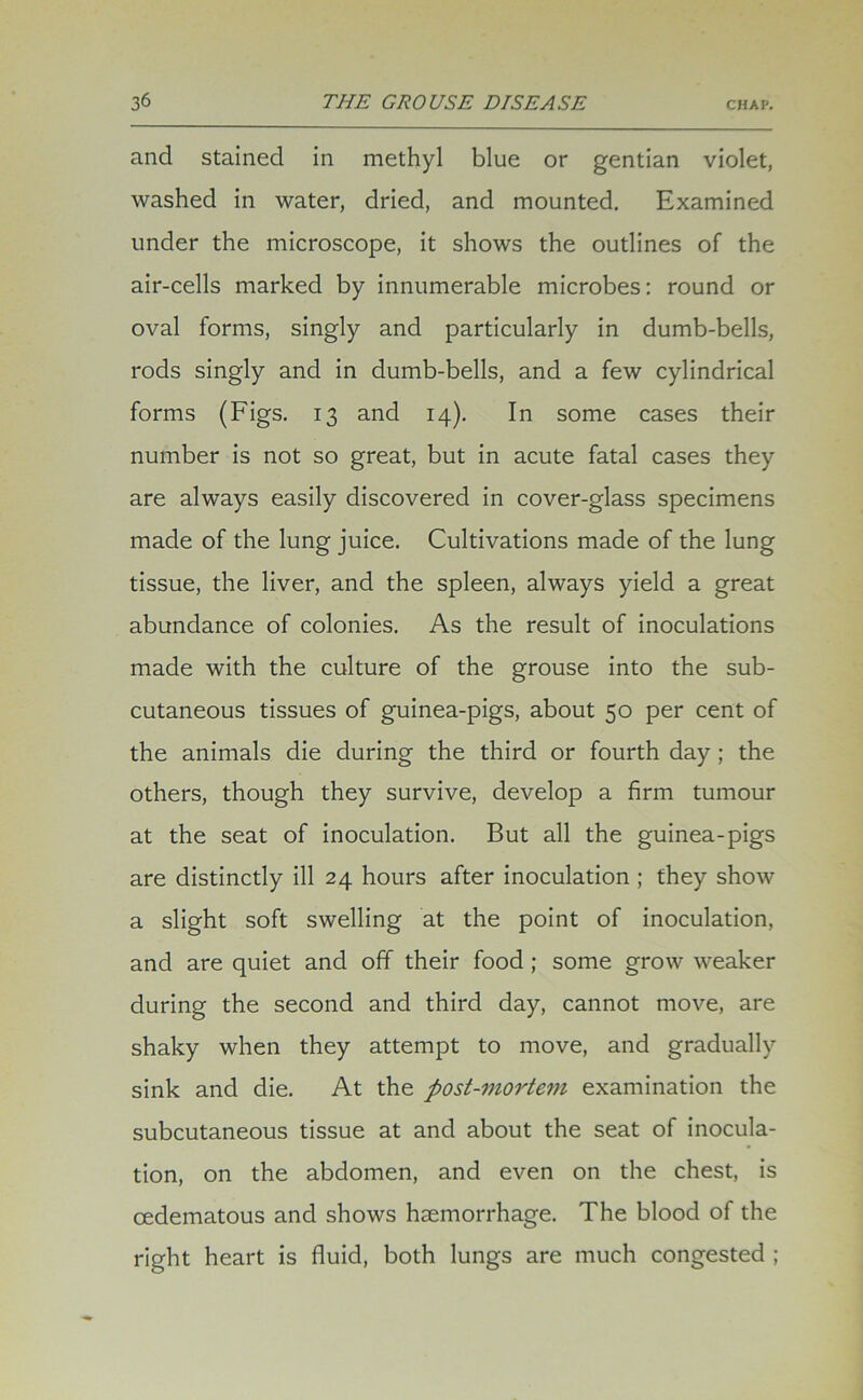 and stained in methyl blue or gentian violet, washed in water, dried, and mounted. Examined under the microscope, it shows the outlines of the air-cells marked by innumerable microbes: round or oval forms, singly and particularly in dumb-bells, rods singly and in dumb-bells, and a few cylindrical forms (Figs. 13 and 14). In some cases their number is not so great, but in acute fatal cases they are always easily discovered in cover-glass specimens made of the lung juice. Cultivations made of the lung tissue, the liver, and the spleen, always yield a great abundance of colonies. As the result of inoculations made with the culture of the grouse into the sub- cutaneous tissues of guinea-pigs, about 50 per cent of the animals die during the third or fourth day ; the others, though they survive, develop a firm tumour at the seat of inoculation. But all the guinea-pigs are distinctly ill 24 hours after inoculation ; they show a slight soft swelling at the point of inoculation, and are quiet and off their food ; some grow weaker during the second and third day, cannot move, are shaky when they attempt to move, and gradually sink and die. At the post-mortem examination the subcutaneous tissue at and about the seat of inocula- tion, on the abdomen, and even on the chest, is cedematous and shows haemorrhage. The blood of the right heart is fluid, both lungs are much congested ;