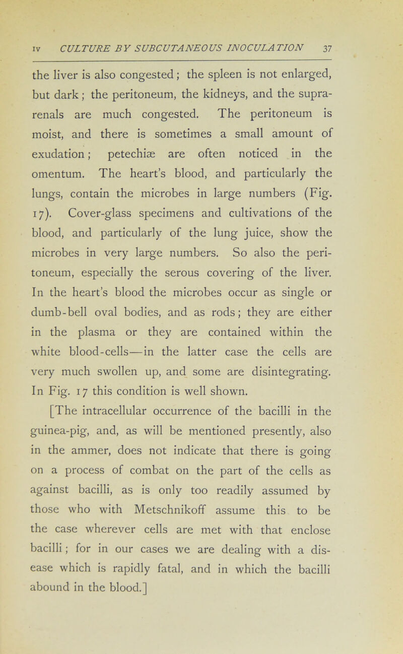 the liver is also congested; the spleen is not enlarged, but dark; the peritoneum, the kidneys, and the supra- renals are much congested. The peritoneum is moist, and there is sometimes a small amount of exudation; petechiae are often noticed in the omentum. The heart’s blood, and particularly the lungs, contain the microbes in large numbers (Fig. 17). Cover-glass specimens and cultivations of the blood, and particularly of the lung juice, show the microbes in very large numbers. So also the peri- toneum, especially the serous covering of the liver. In the heart’s blood the microbes occur as single or dumb-bell oval bodies, and as rods; they are either in the plasma or they are contained within the white blood-cells—in the latter case the cells are very much swollen up, and some are disintegrating. In Fig. 17 this condition is well shown. [The intracellular occurrence of the bacilli in the guinea-pig, and, as will be mentioned presently, also in the ammer, does not indicate that there is going on a process of combat on the part of the cells as against bacilli, as is only too readily assumed by those who with Metschnikoff assume this to be the case wherever cells are met with that enclose bacilli; for in our cases we are dealing with a dis- ease which is rapidly fatal, and in which the bacilli abound in the blood.]