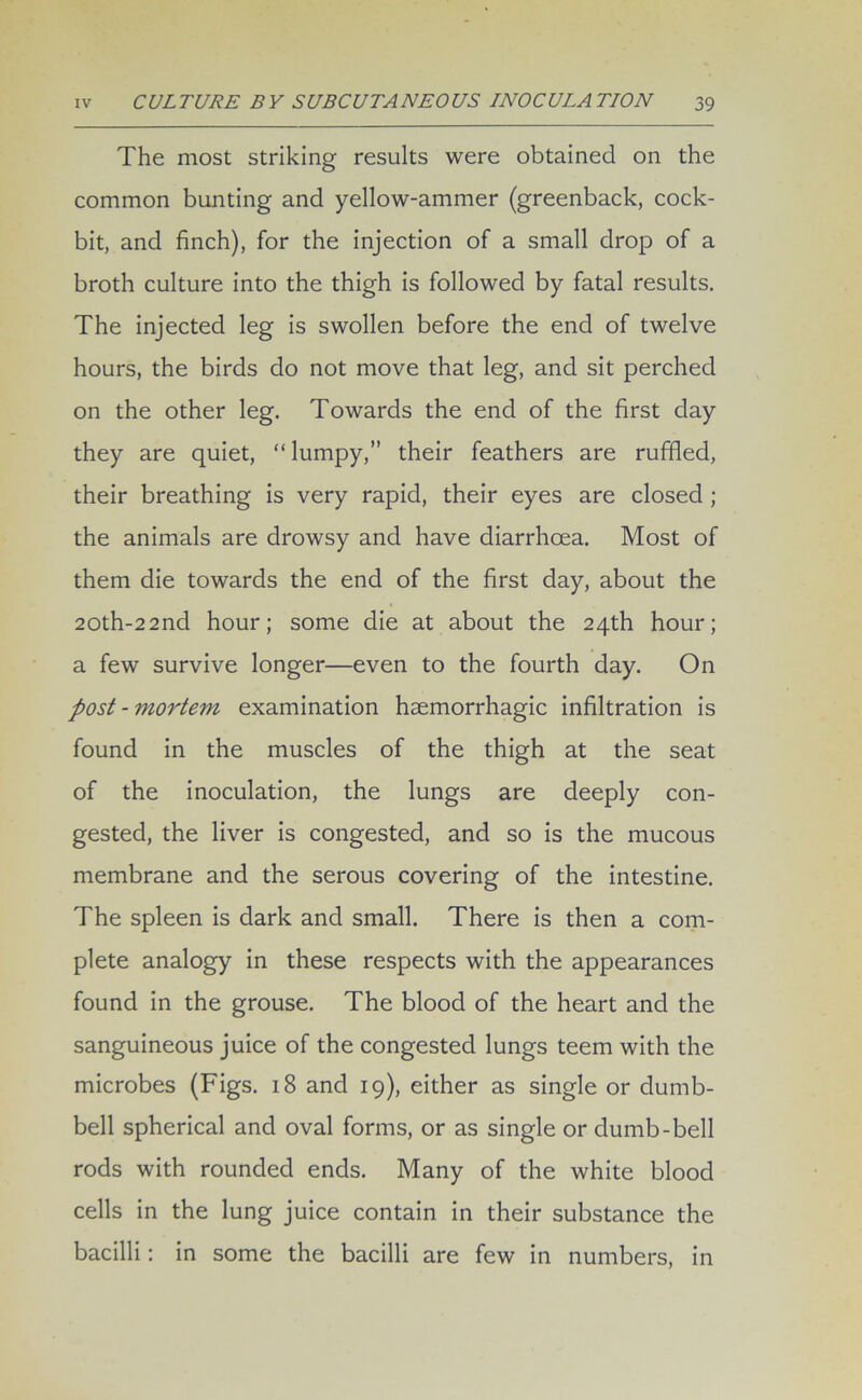 The most striking results were obtained on the common bunting and yellow-ammer (greenback, cock- bit, and finch), for the injection of a small drop of a broth culture into the thigh is followed by fatal results. The injected leg is swollen before the end of twelve hours, the birds do not move that leg, and sit perched on the other leg. Towards the end of the first day they are quiet, “ lumpy,” their feathers are ruffled, their breathing is very rapid, their eyes are closed ; the animals are drowsy and have diarrhoea. Most of them die towards the end of the first day, about the 20th-2 2nd hour; some die at about the 24th hour; a few survive longer—even to the fourth day. On post-mortem examination haemorrhagic infiltration is found in the muscles of the thigh at the seat of the inoculation, the lungs are deeply con- gested, the liver is congested, and so is the mucous membrane and the serous covering of the intestine. The spleen is dark and small. There is then a com- plete analogy in these respects with the appearances found in the grouse. The blood of the heart and the sanguineous juice of the congested lungs teem with the microbes (Figs. 18 and 19), either as single or dumb- bell spherical and oval forms, or as single or dumb-bell rods with rounded ends. Many of the white blood cells in the lung juice contain in their substance the bacilli: in some the bacilli are few in numbers, in